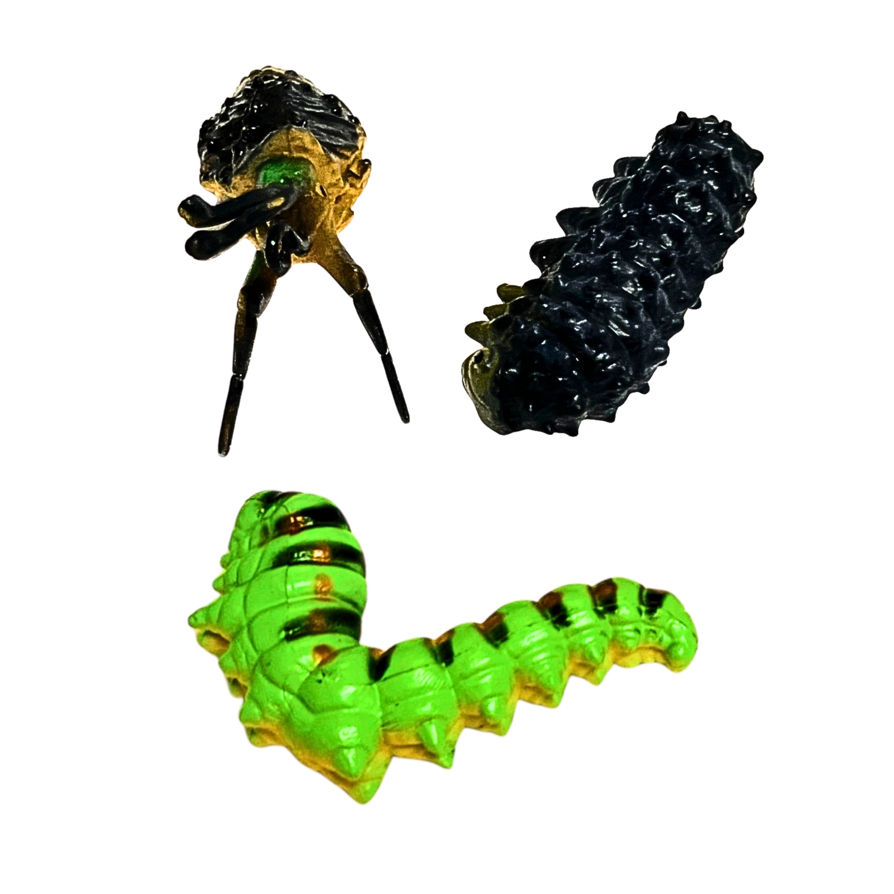 Butterfly Life Cycle Figurines