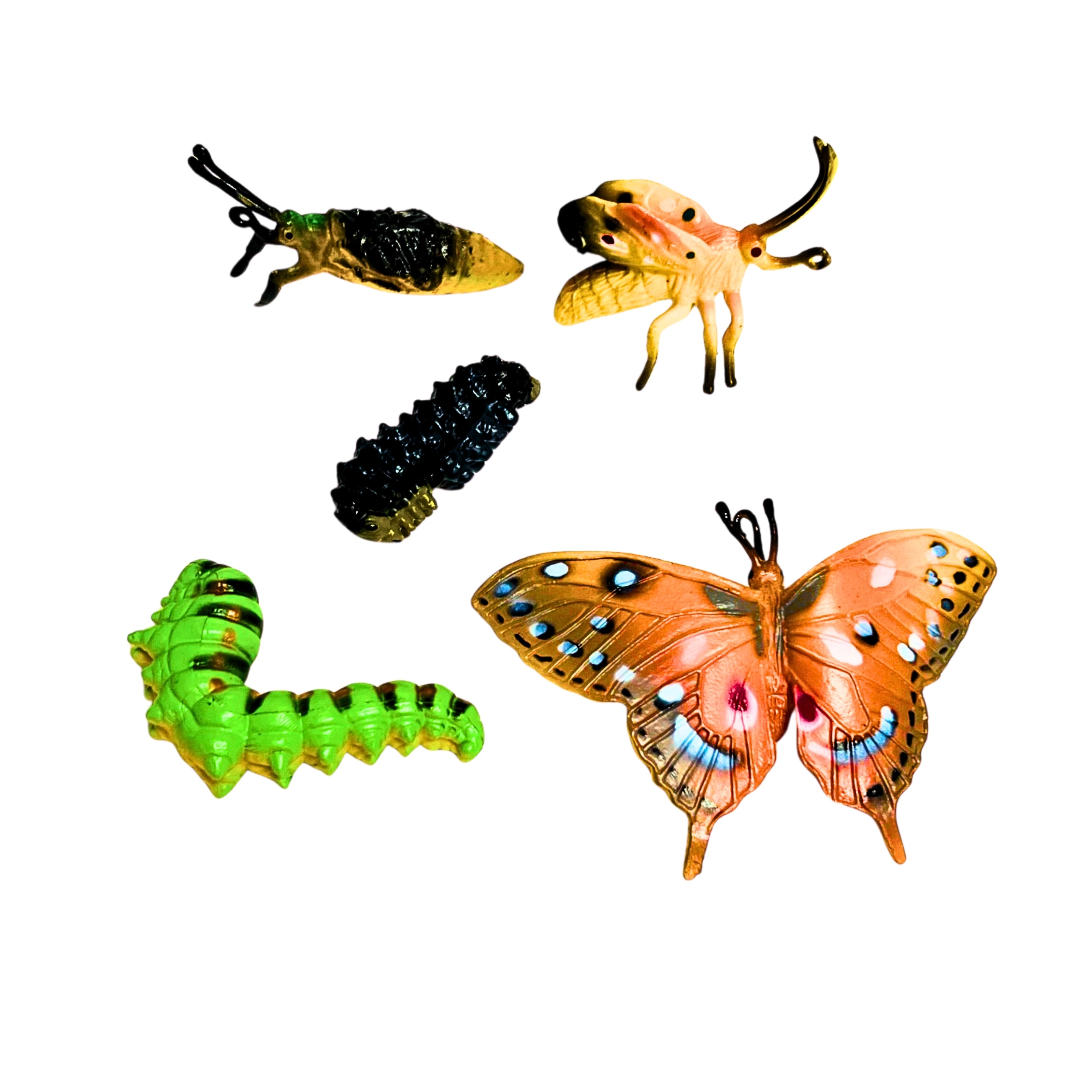 Butterfly Life Cycle Figurines