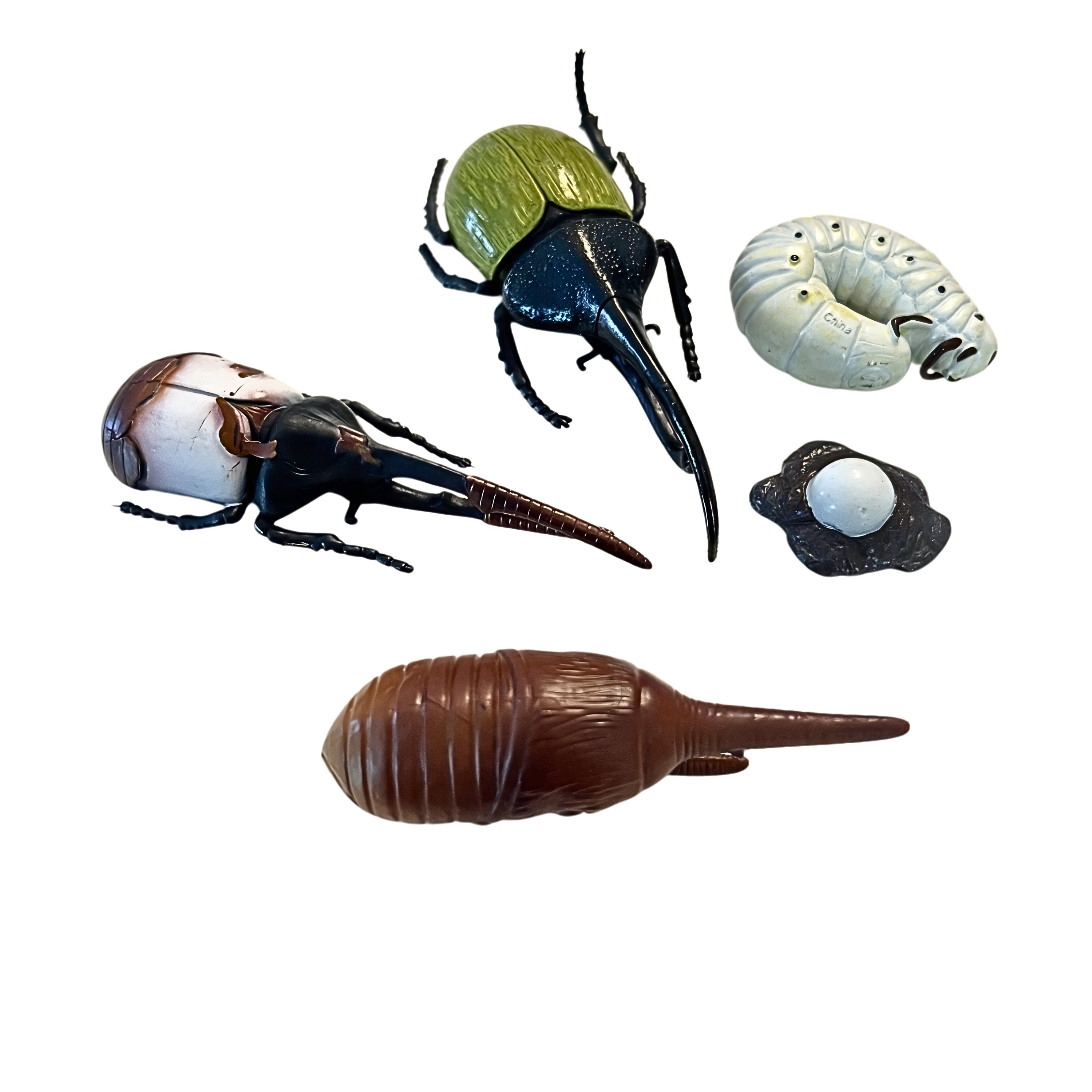 Beetle Life Cycle Figurines