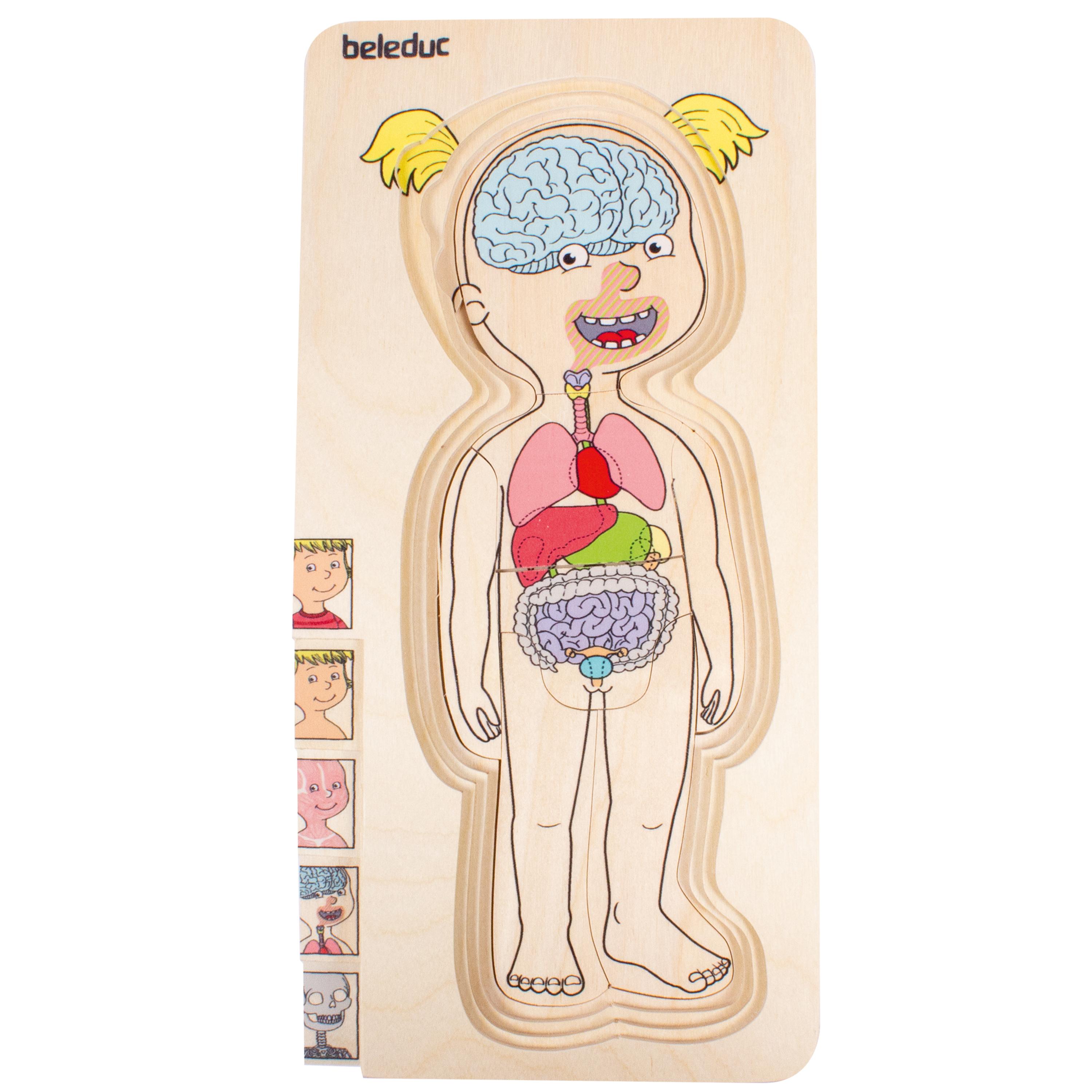 Discover Your Body Puzzles