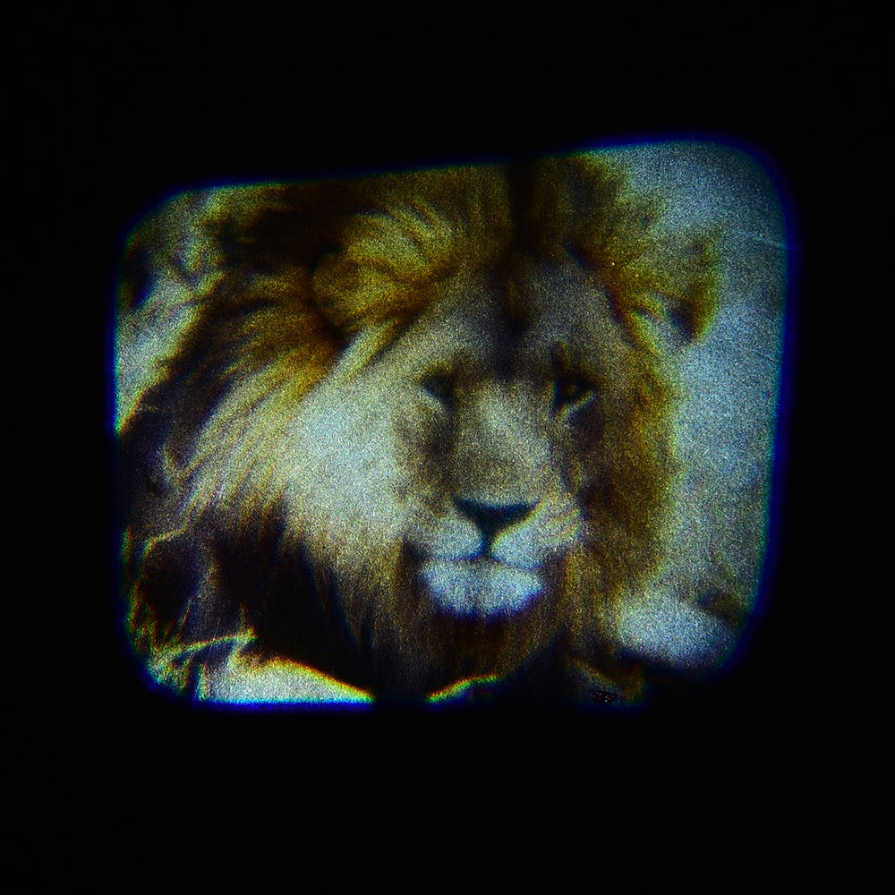 Discovery Projectors / Series 1