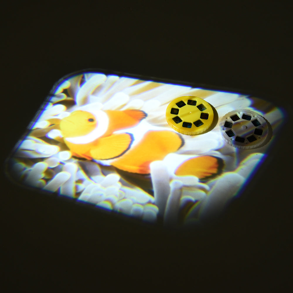 Discovery Projectors / Series 1