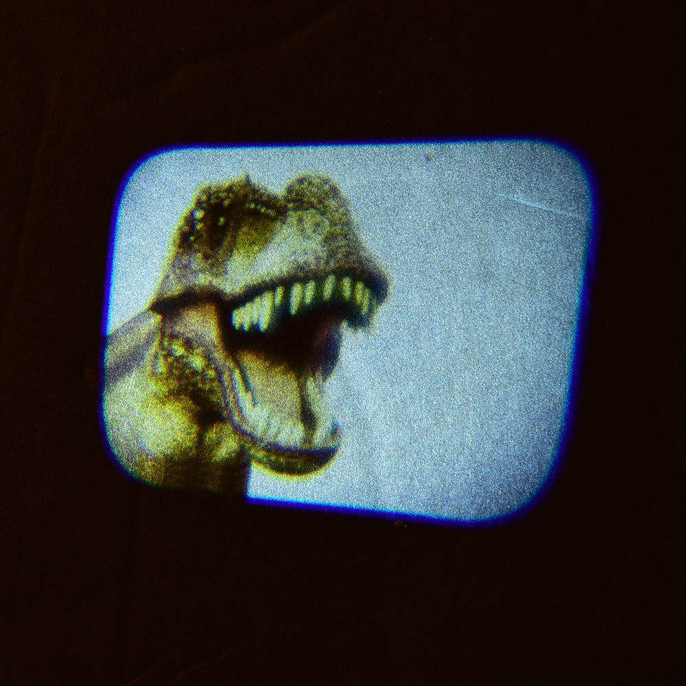 Discovery Projectors