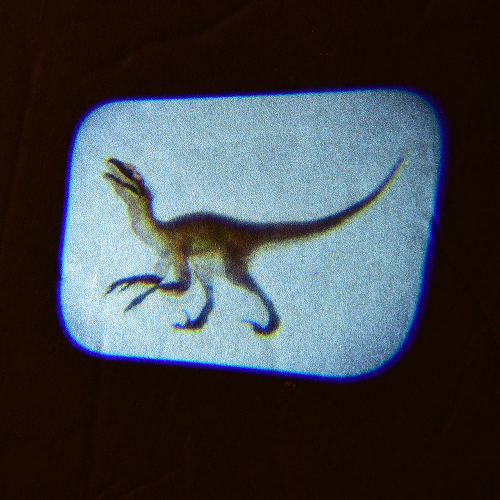Discovery Projectors