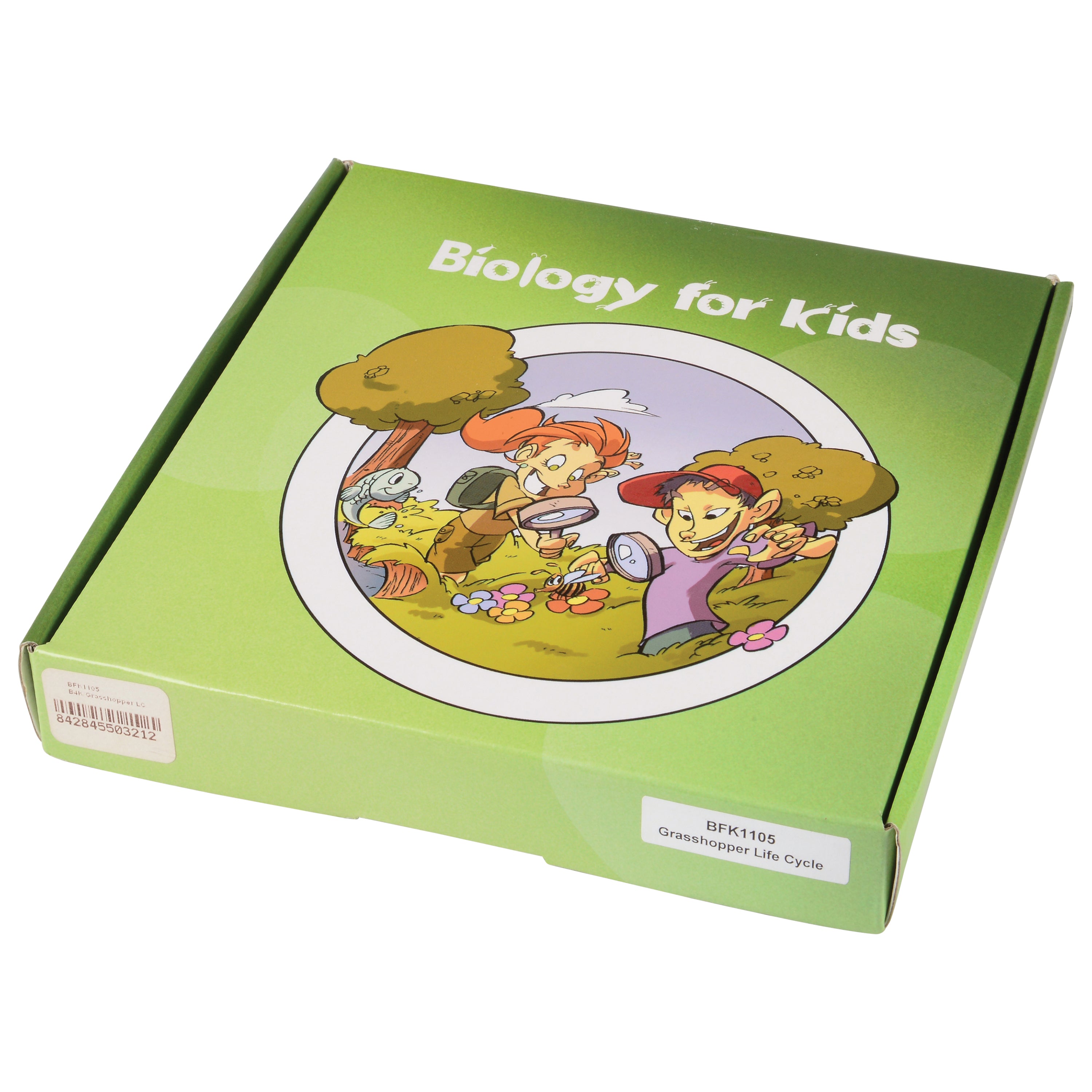 Grasshopper Life Cycle Discovery Set | 5-Piece Educational Model with Guide