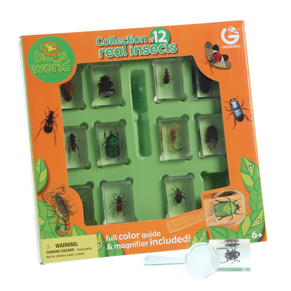 Geoworld Bugs World Collection of 12 Real Insects Packaging with Magnifying Glass