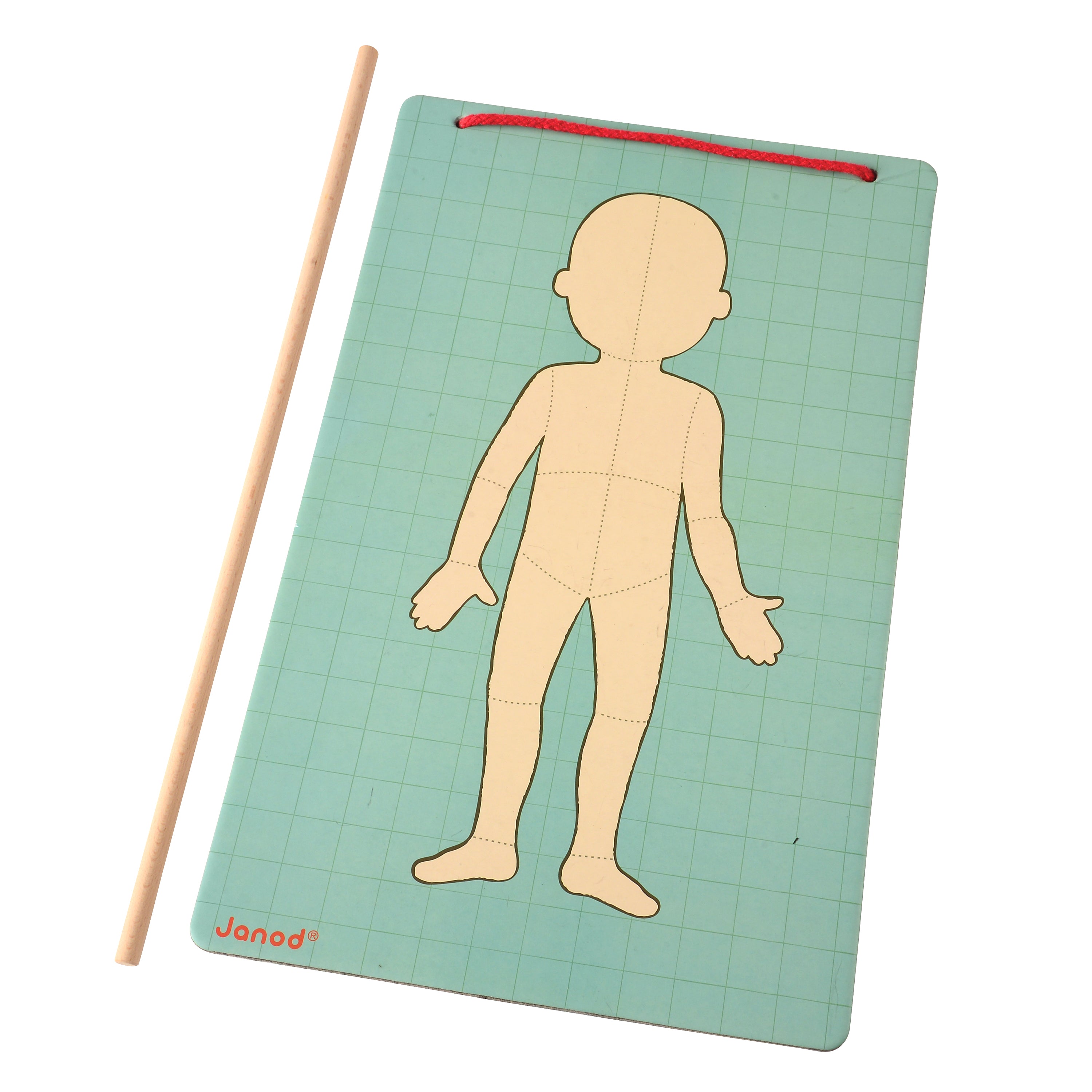 Magnetic Body Puzzle - Learn about the Body