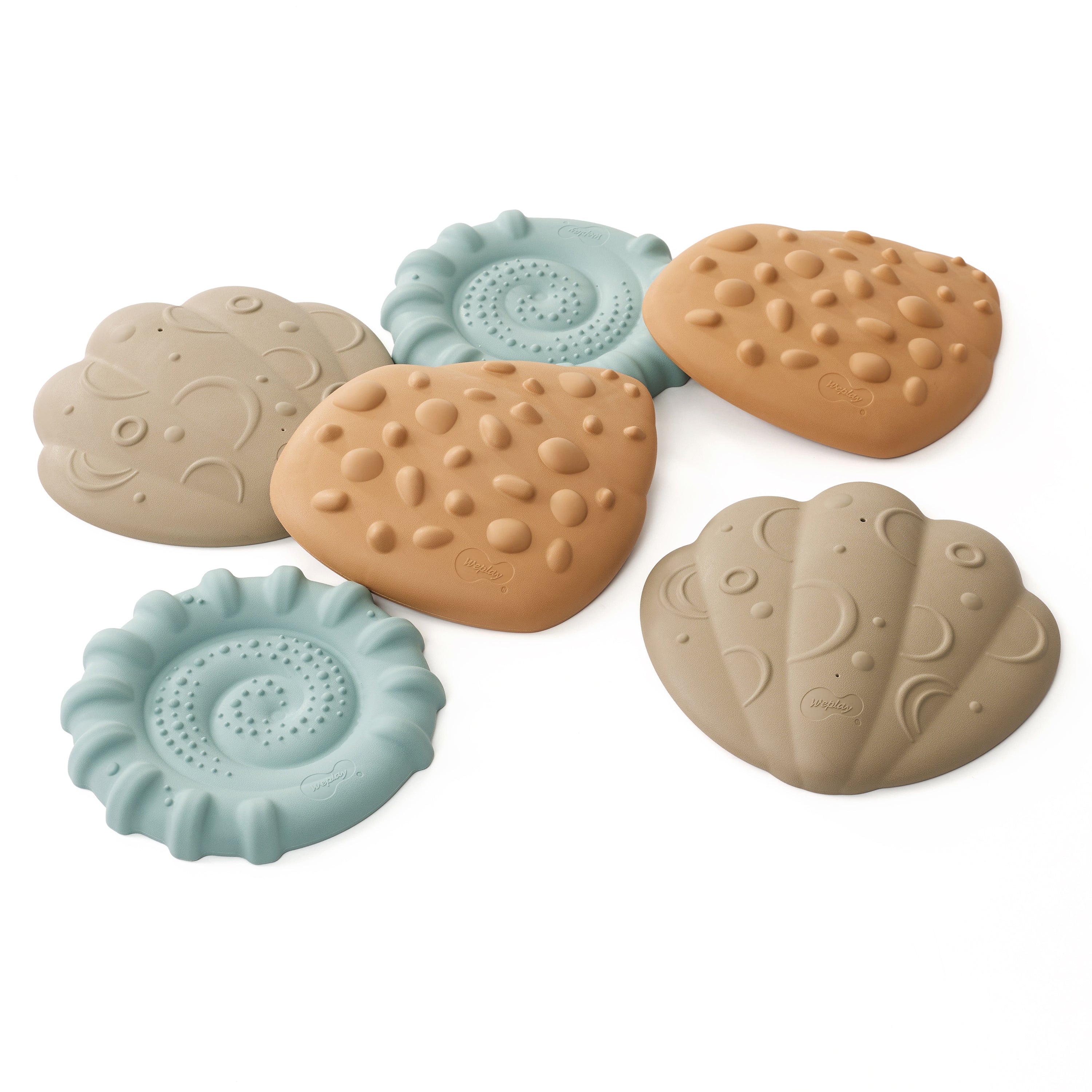Set of tactile shells in various shapes on a white background