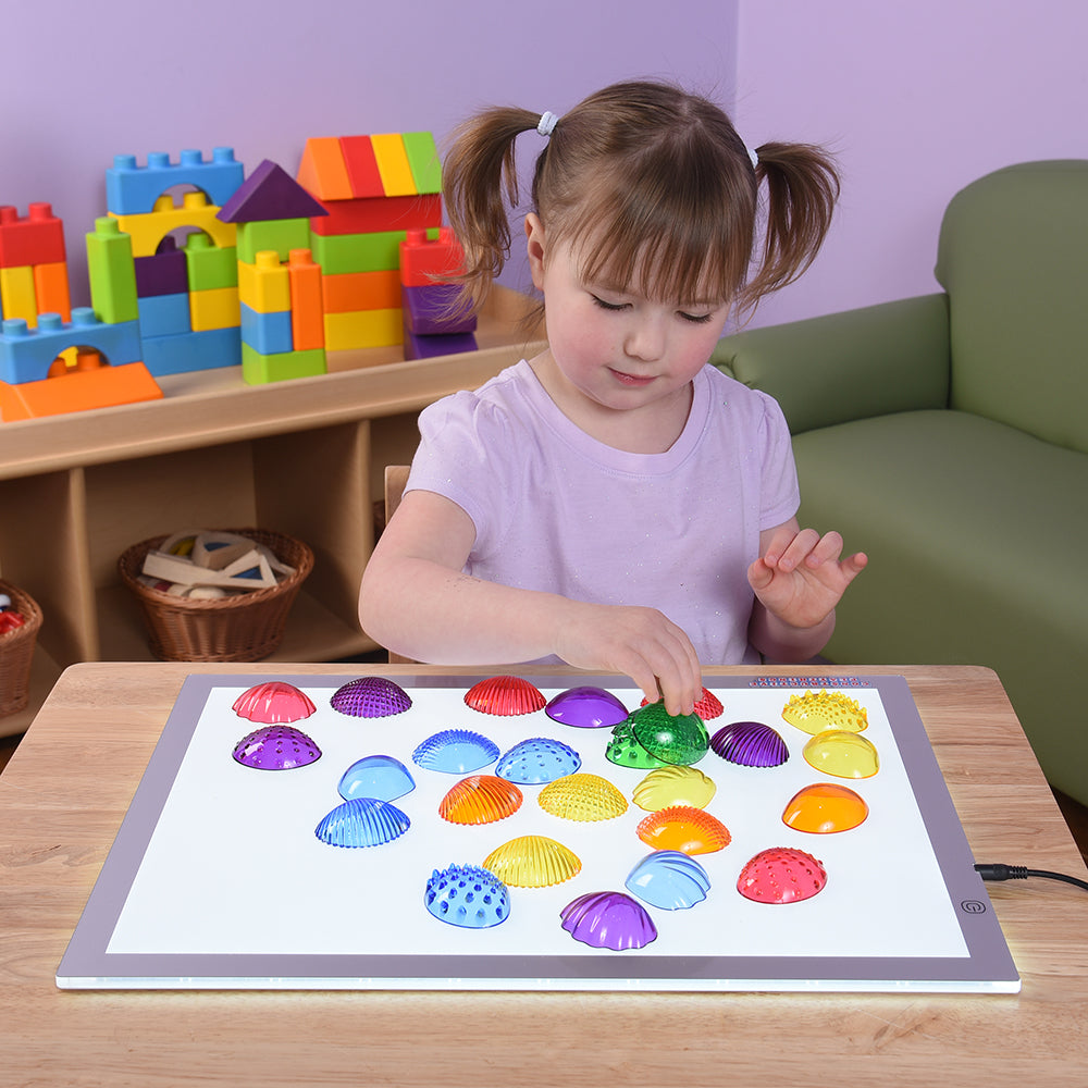 Rainbow Translucent Shells Used On The Light Table