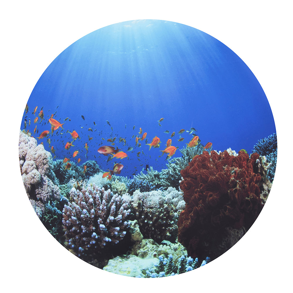 Ocean Themed Semi-Translucent Play Mat for Sensory Mood Table LAD-560