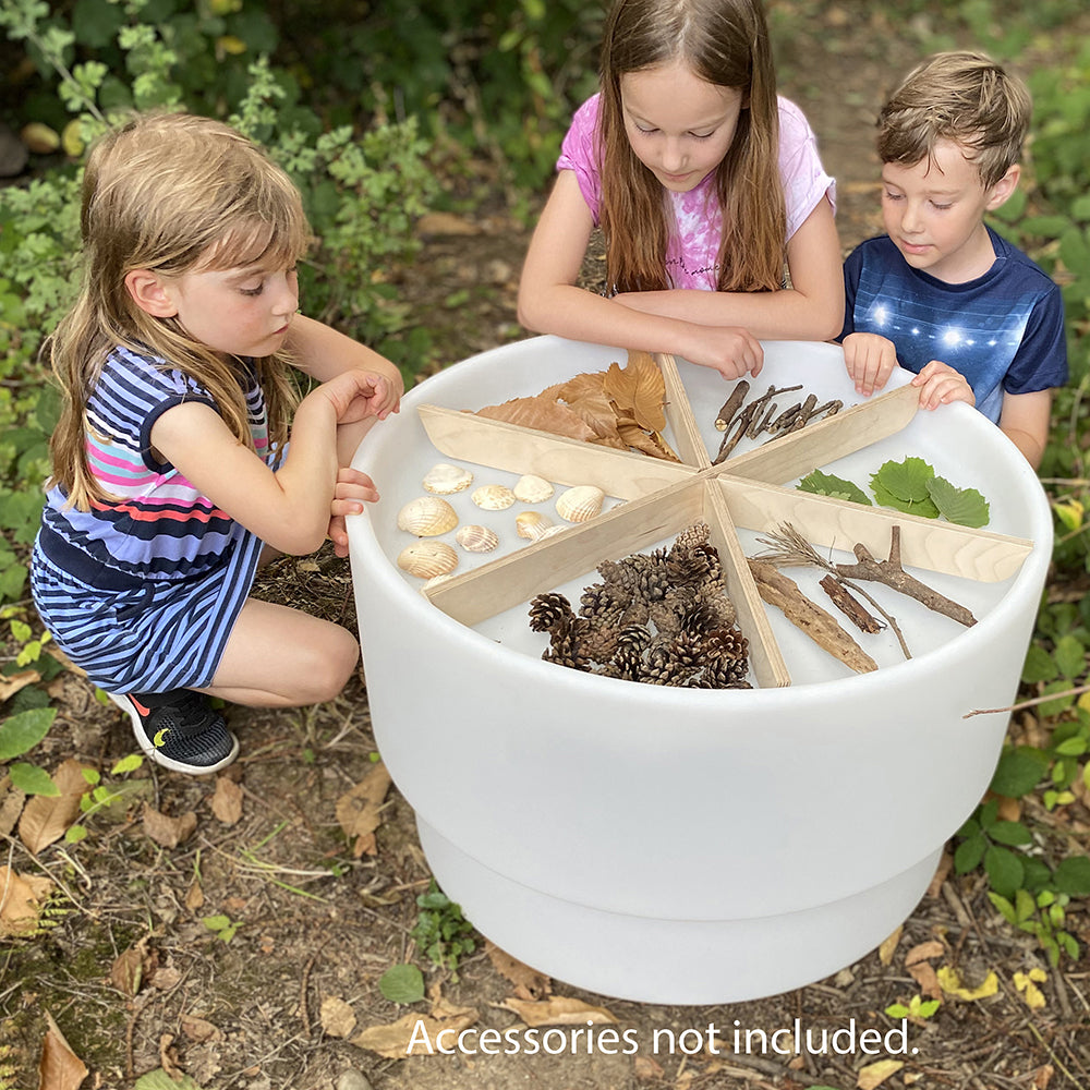 Using A Sensory Light Table for Discovering Nature