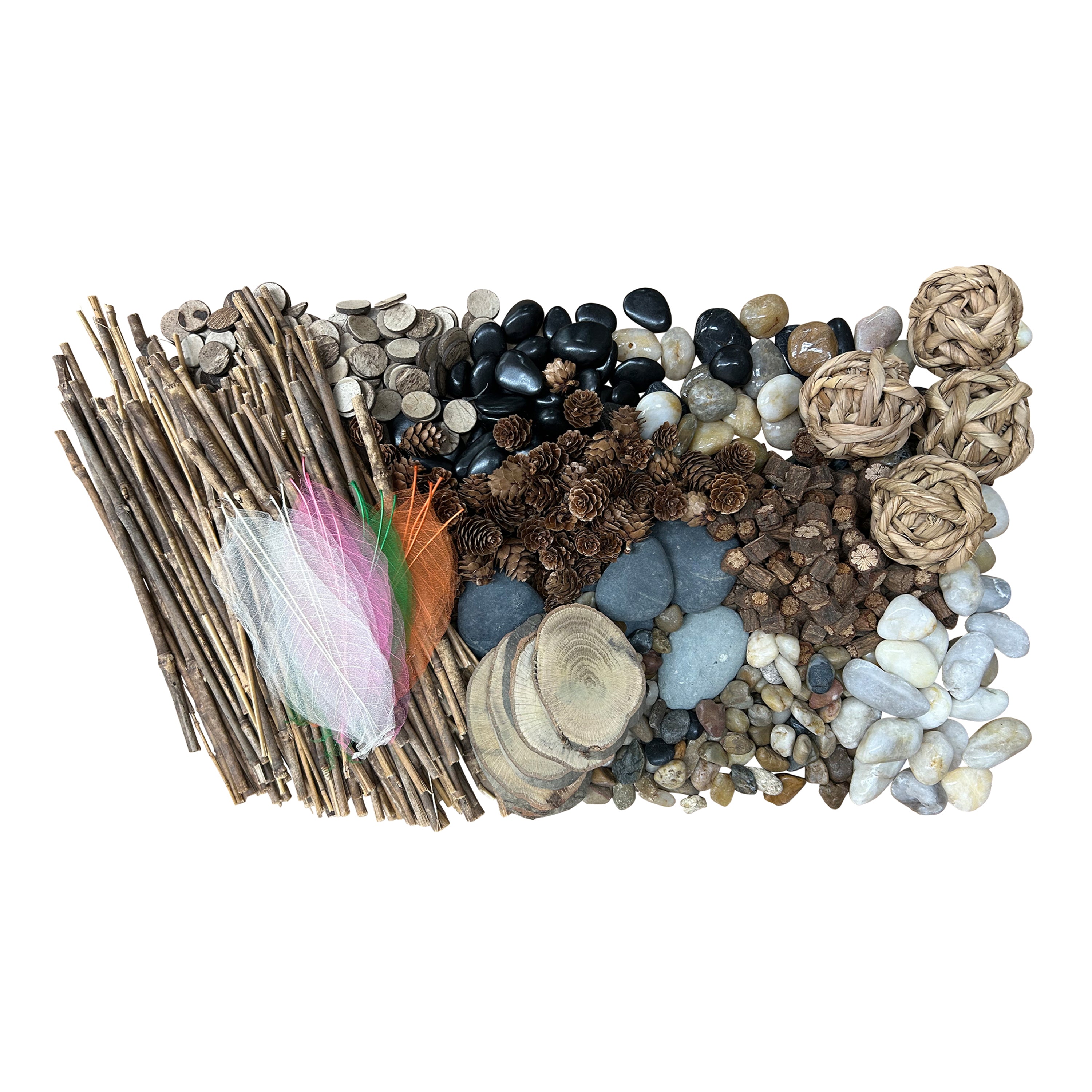 Natural items including sticks, stones, pinecones and feathers on a white background