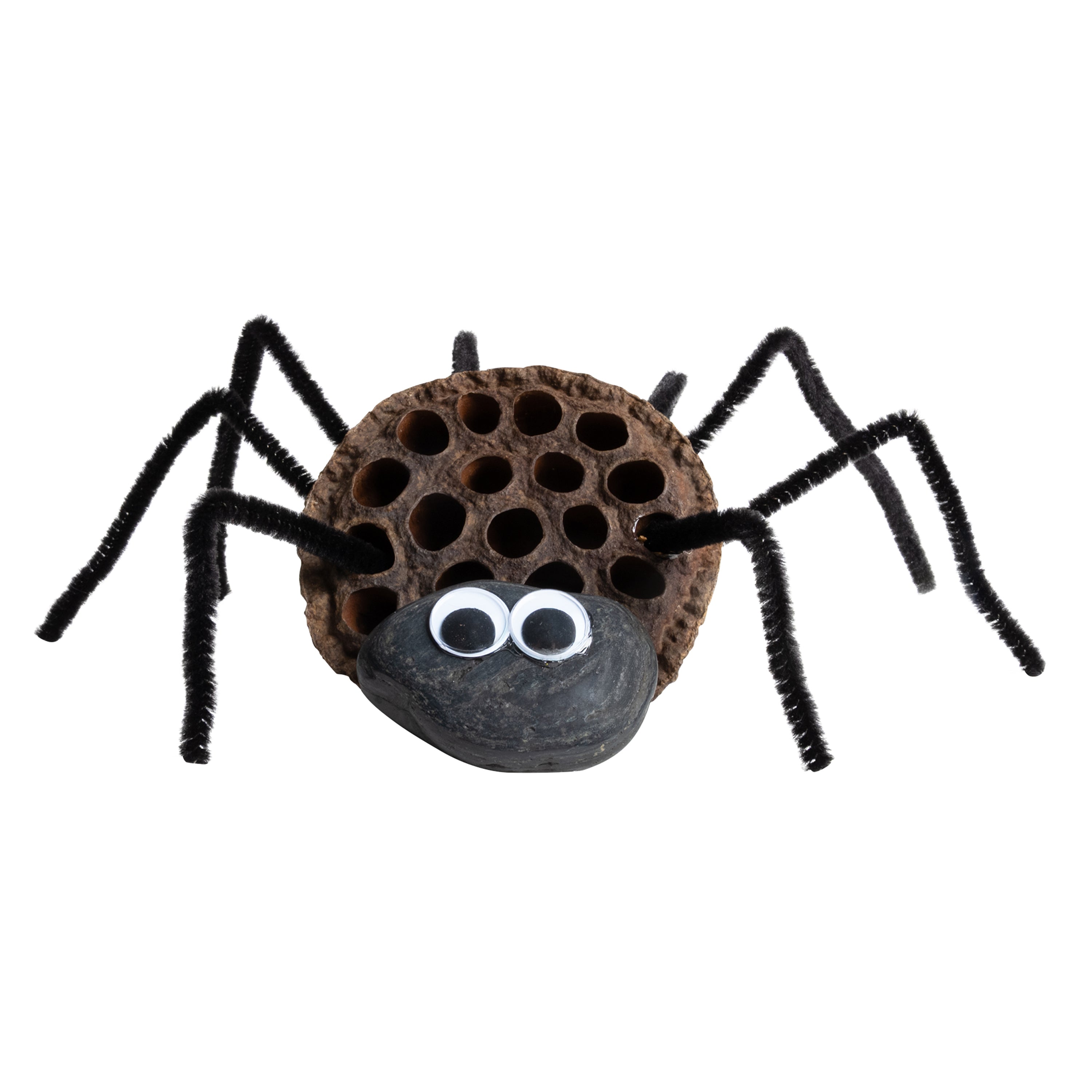 Spider craft project with pipe cleaners as legs on a white background