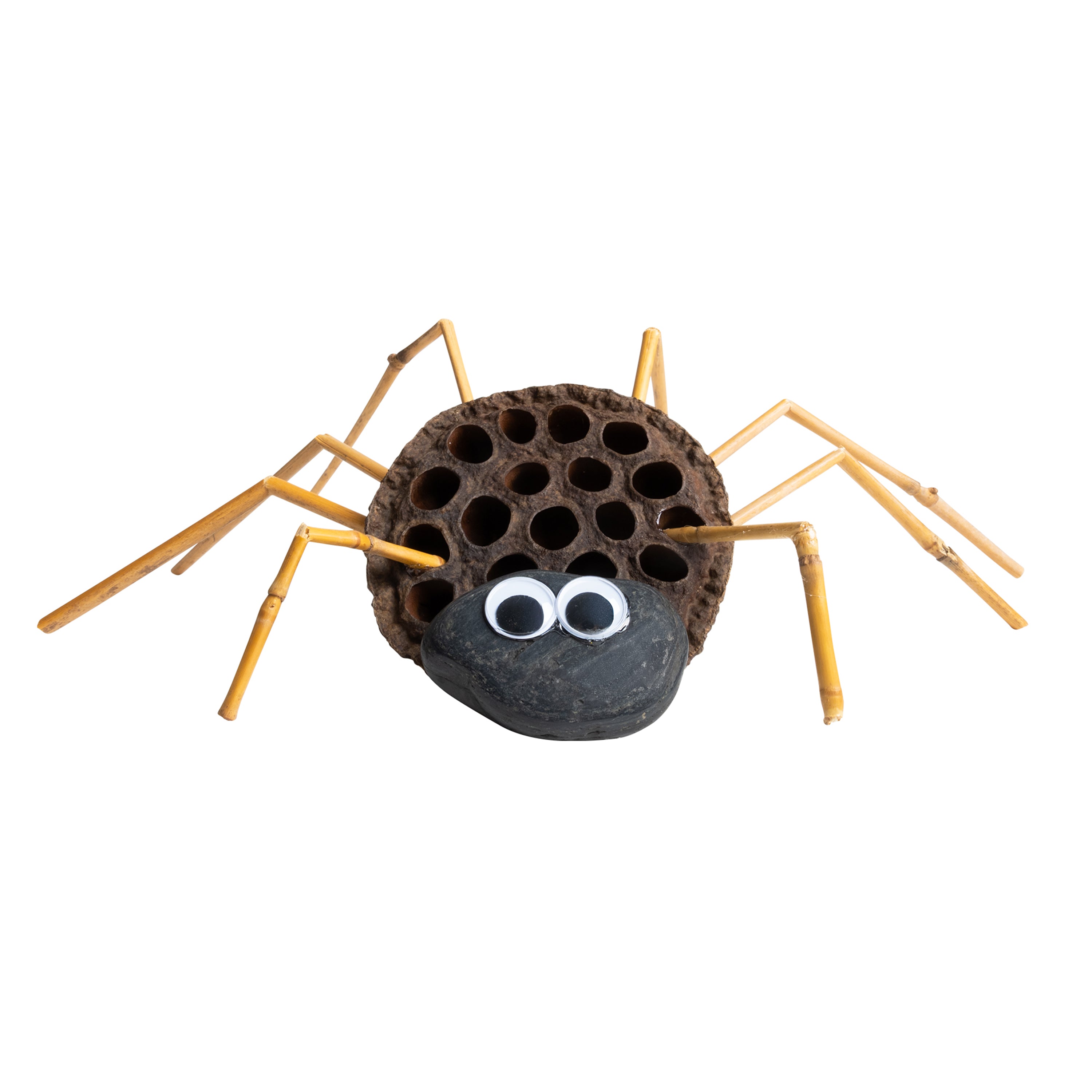 Spider craft project with sticks as legs on a white background