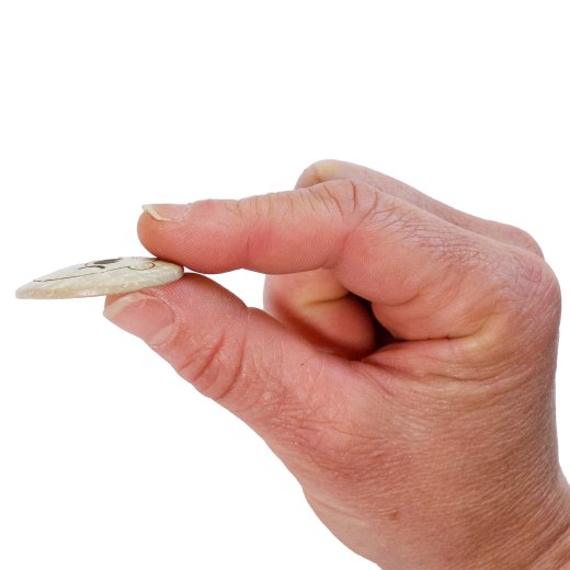 Hand holding a small coin against a white background