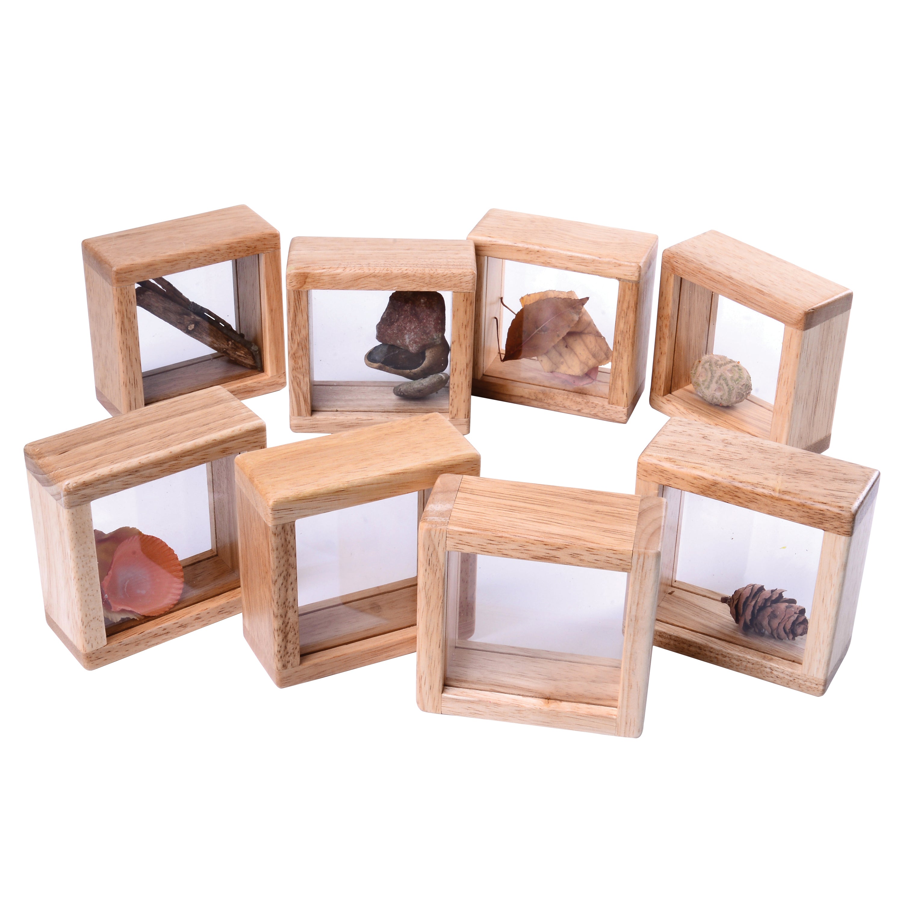 Set of wooden display boxes with clear fronts on a white background