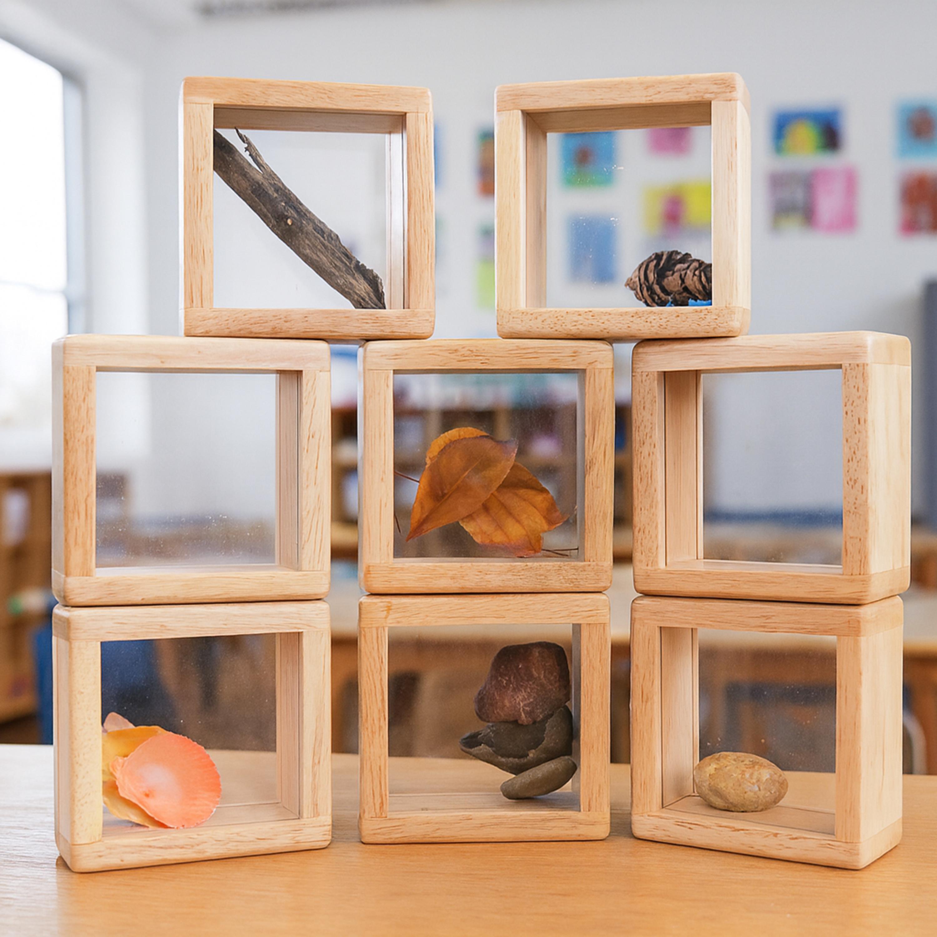 Stack of wooden blocks with transparent sides displaying natural objects in a classroom setting