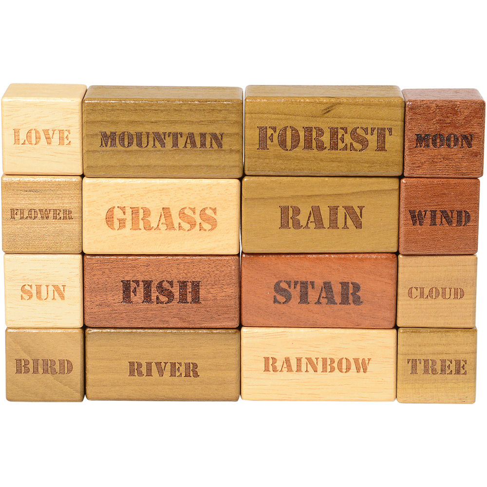 Earth, Wind, and Water Nature-Themed Wooden Blocks with Imprinted Words