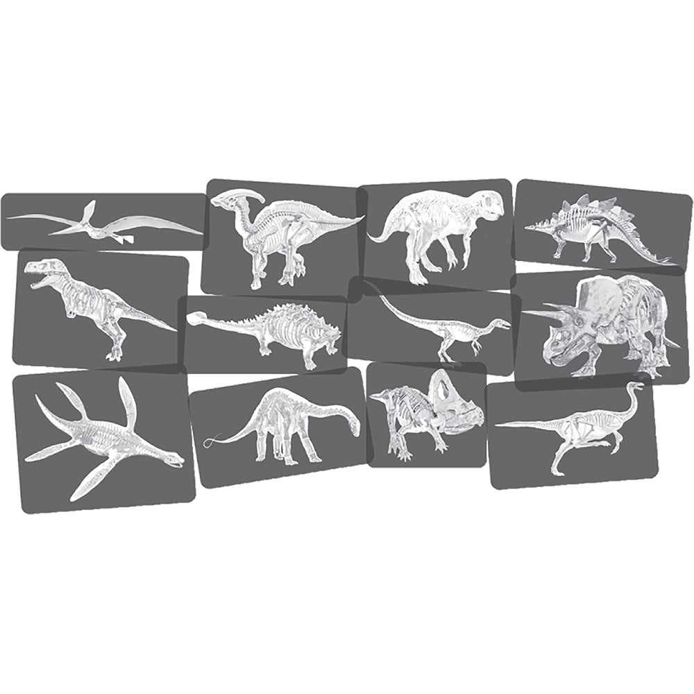Dinosaur X-Ray Cards