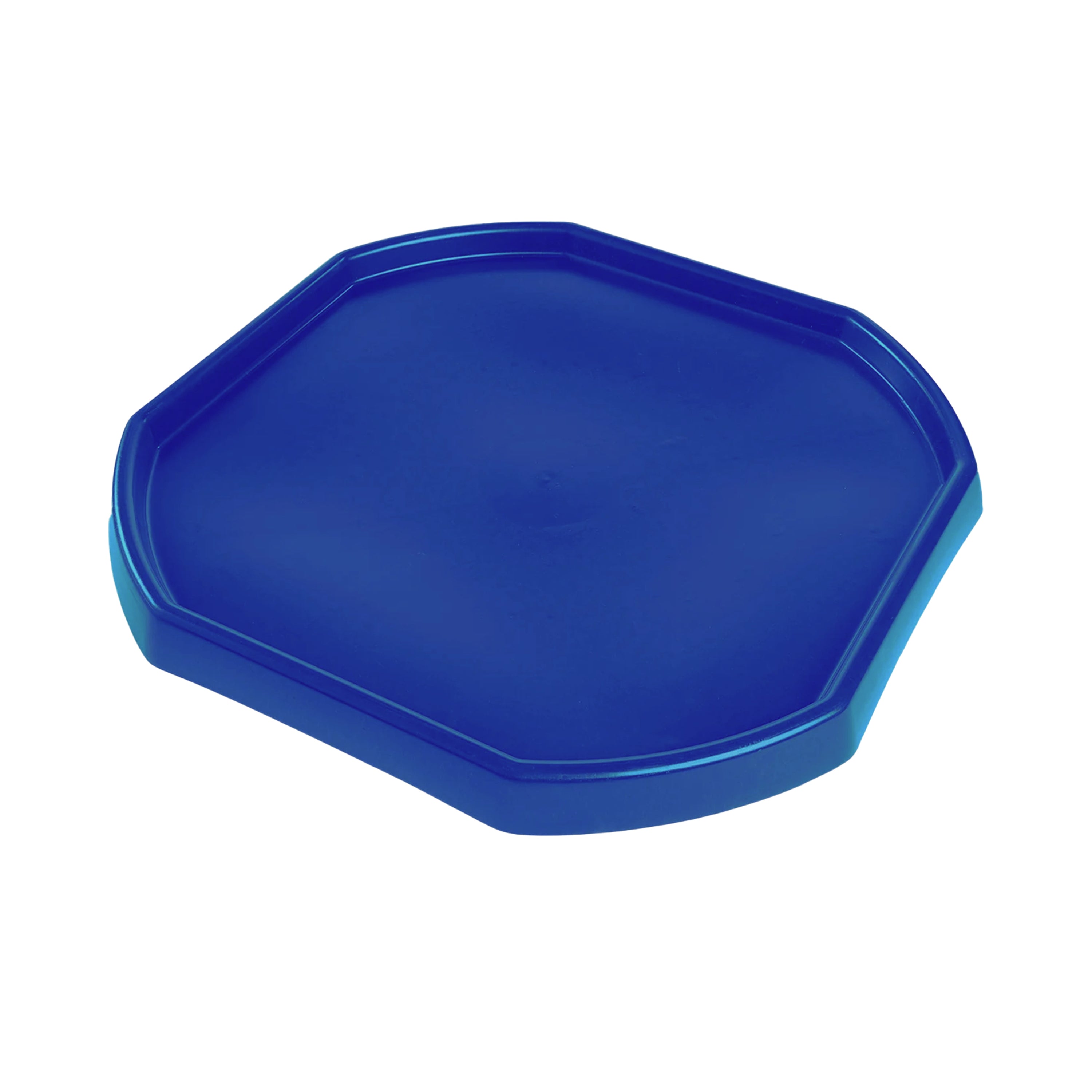 Large Blue Tray