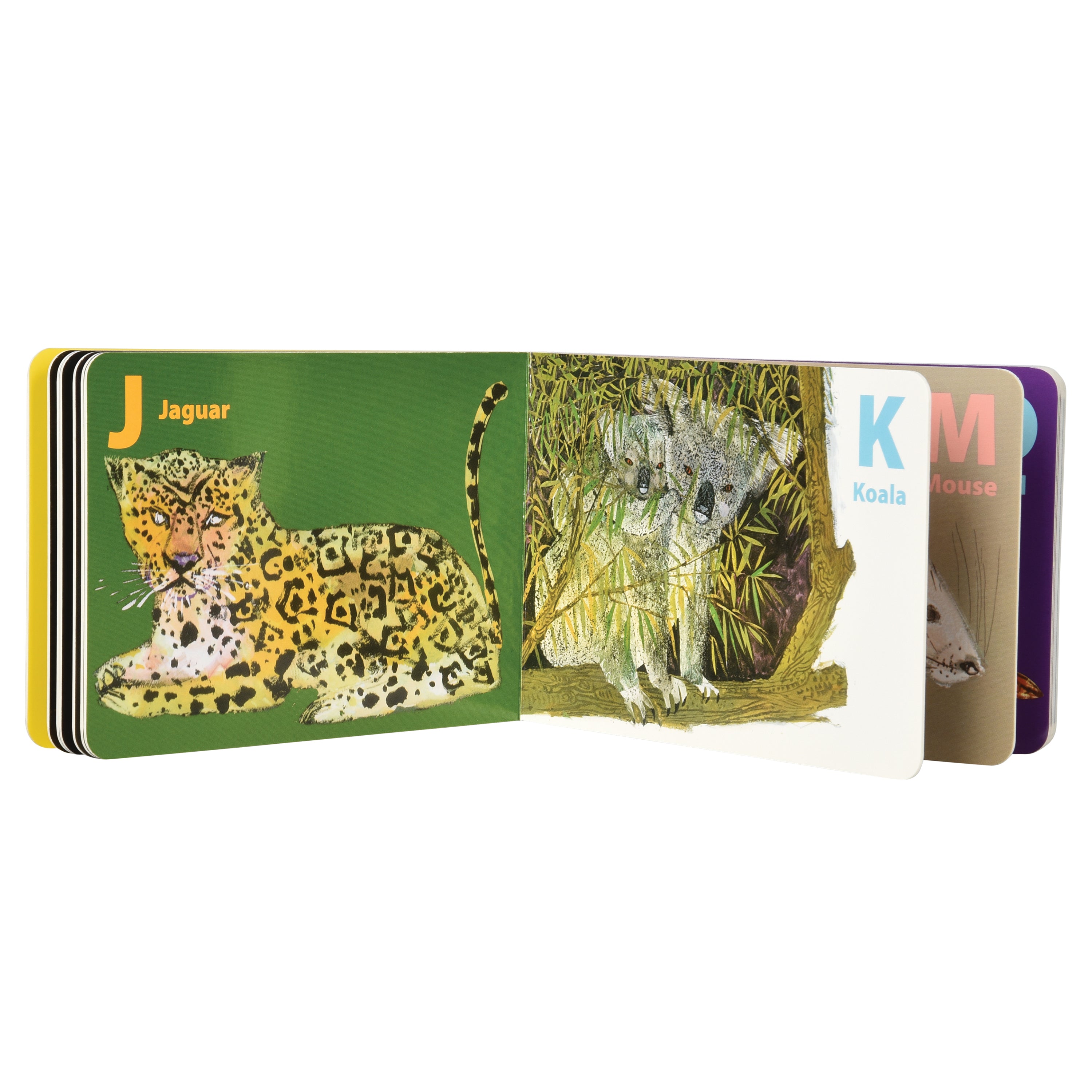 A children's alphabet animal board book shown open on a white background, with visible pages for Jaguar and Koala and colorful lettering and animal illustrations.