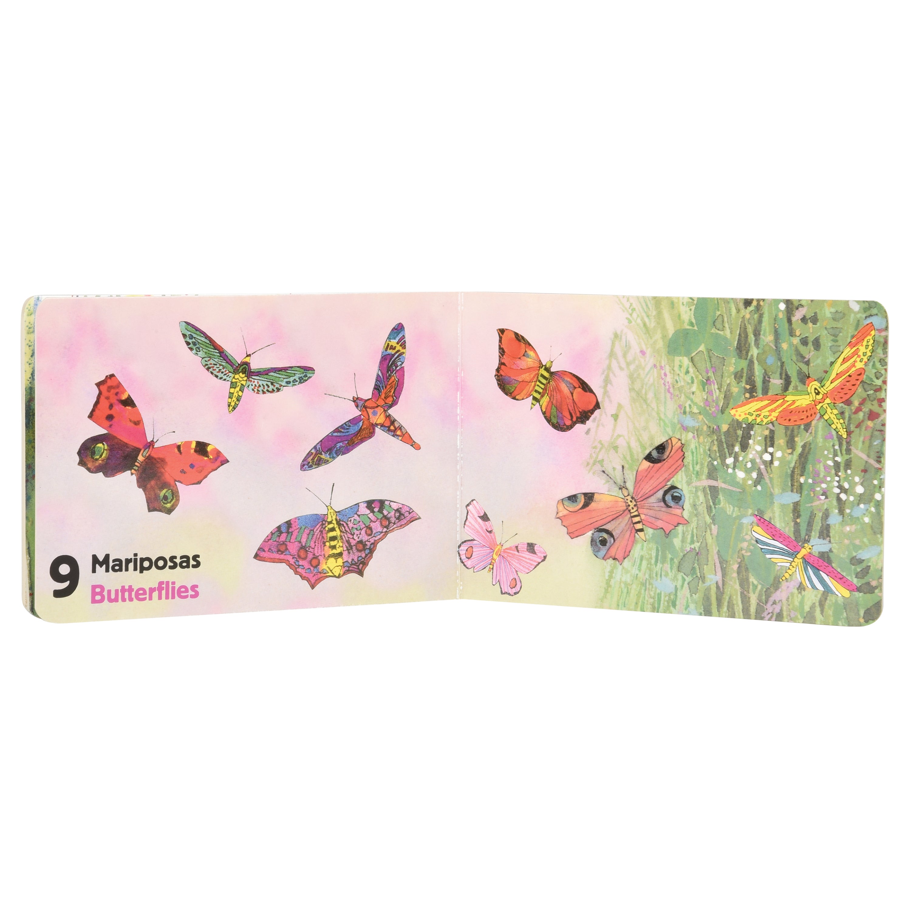 A children's educational book spread titled '9 Mariposas Butterflies' featuring colorful illustrations of various butterflies and a dragonfly on a light pink and green background.