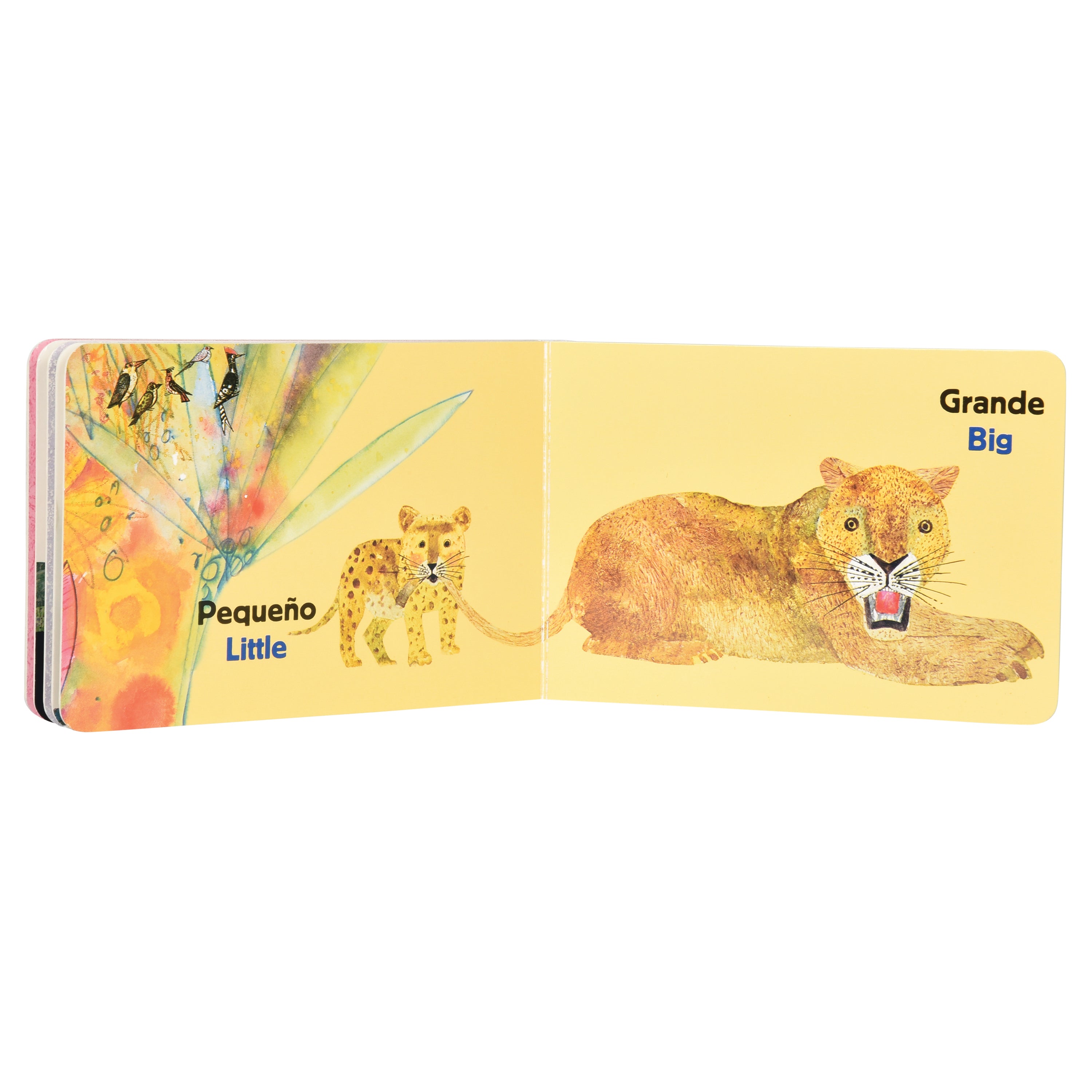 An open children's picture book spread showing a watercolor illustration of a lion cub labeled 'Pequeño Little' on the left page and a larger lion labeled 'Grande Big' on the right page, with a pale yellow background.