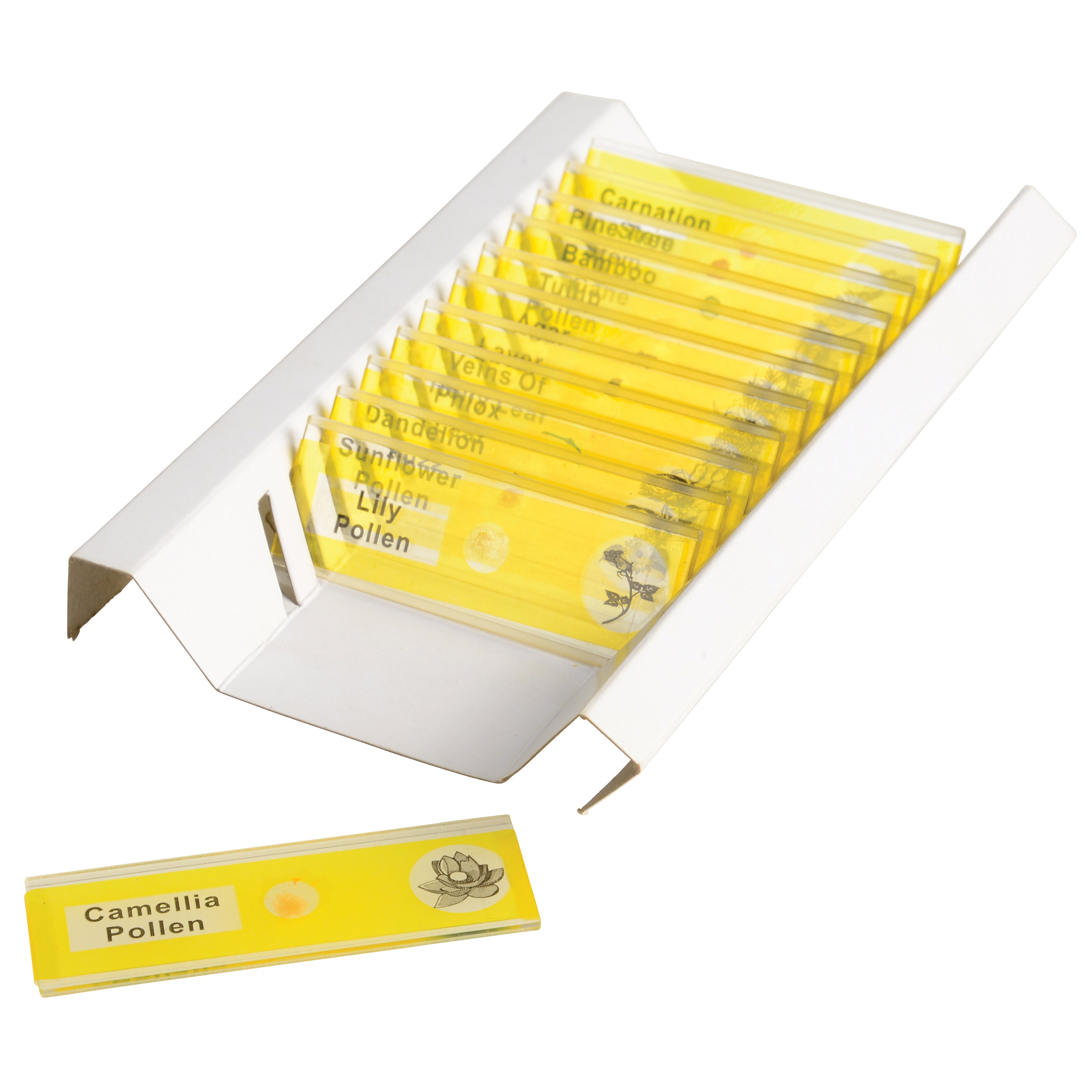 Prepared Slide Kit - Plants