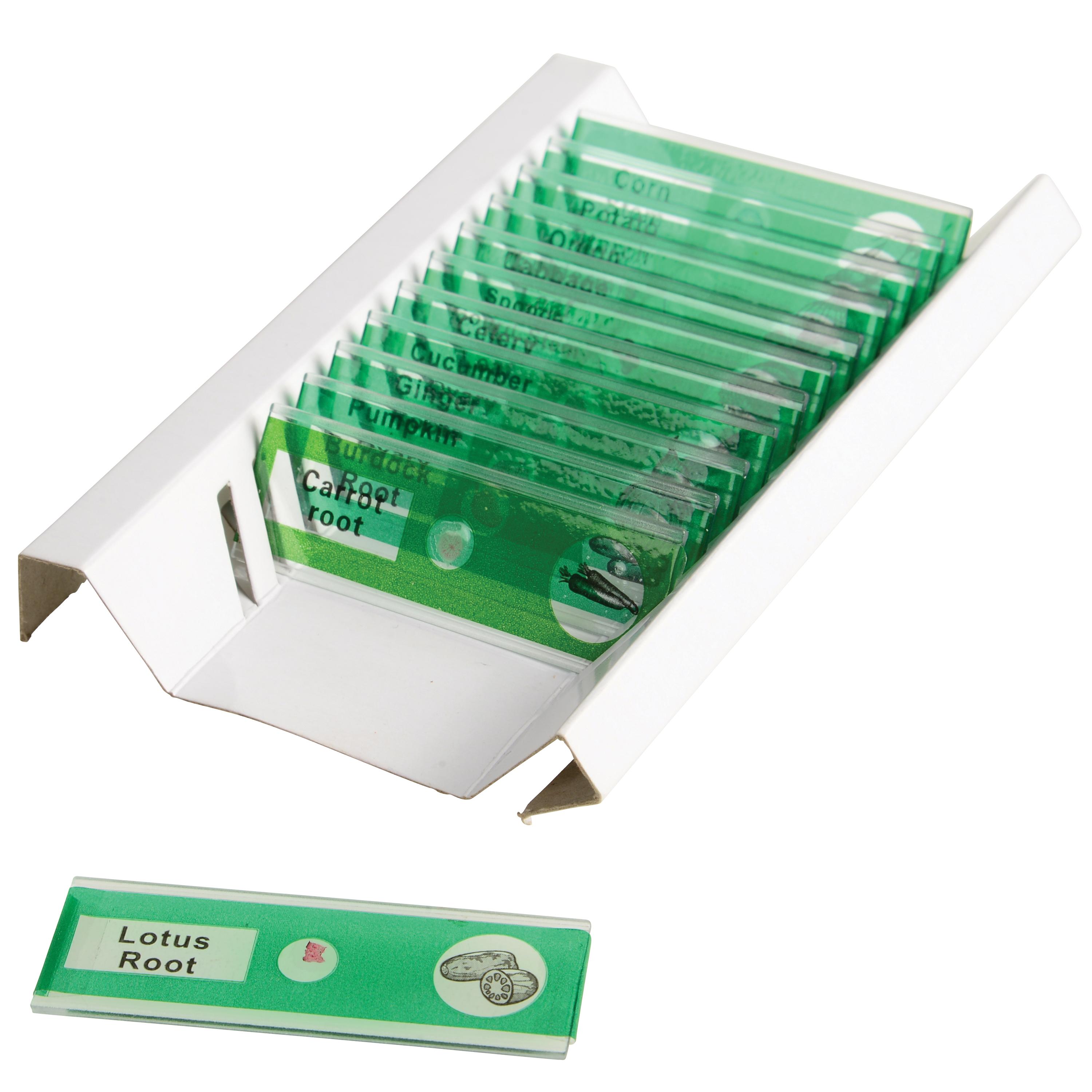 Prepared Slide Kit - Vegetables