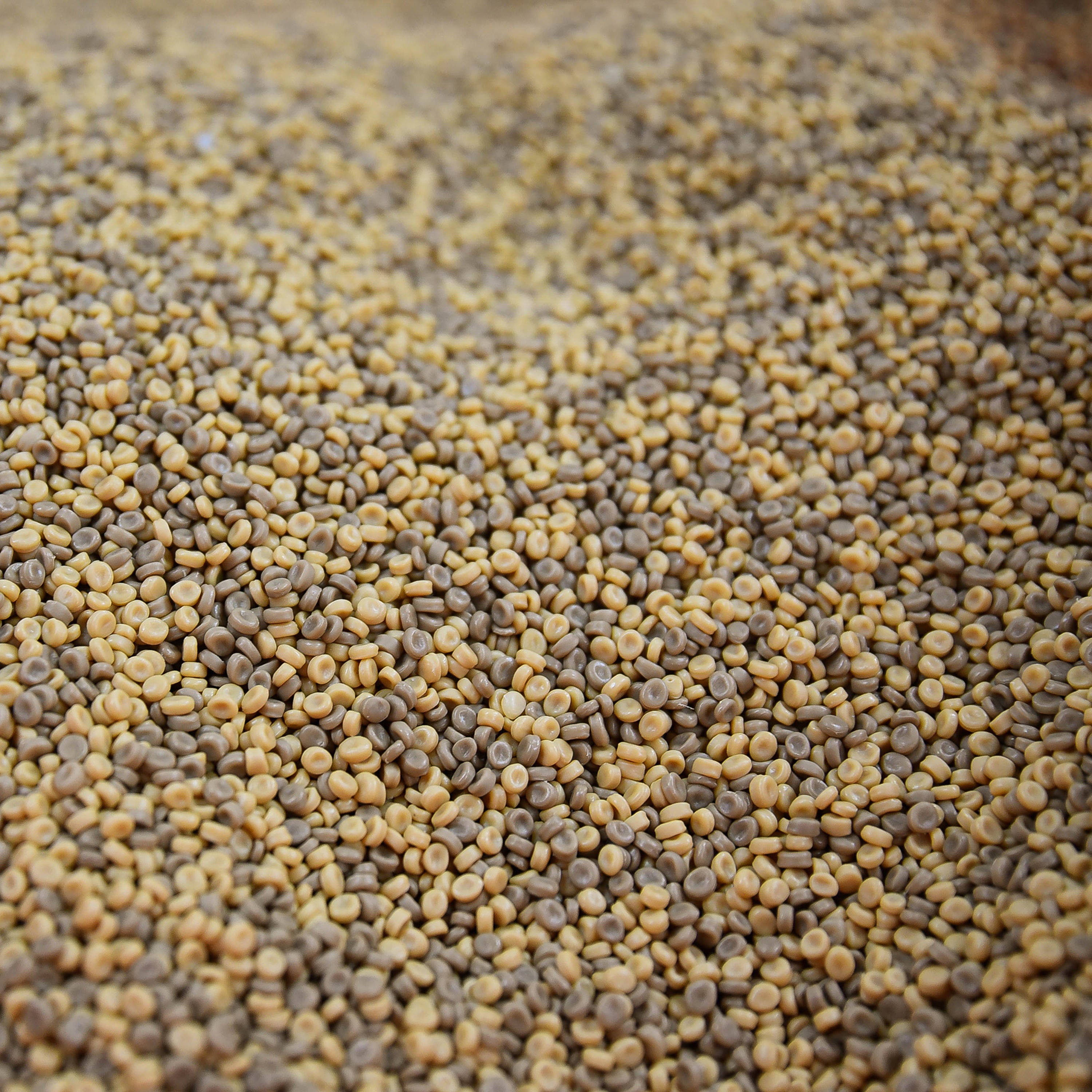 Close-up of a mixture of small brown and yellow sensory pellets