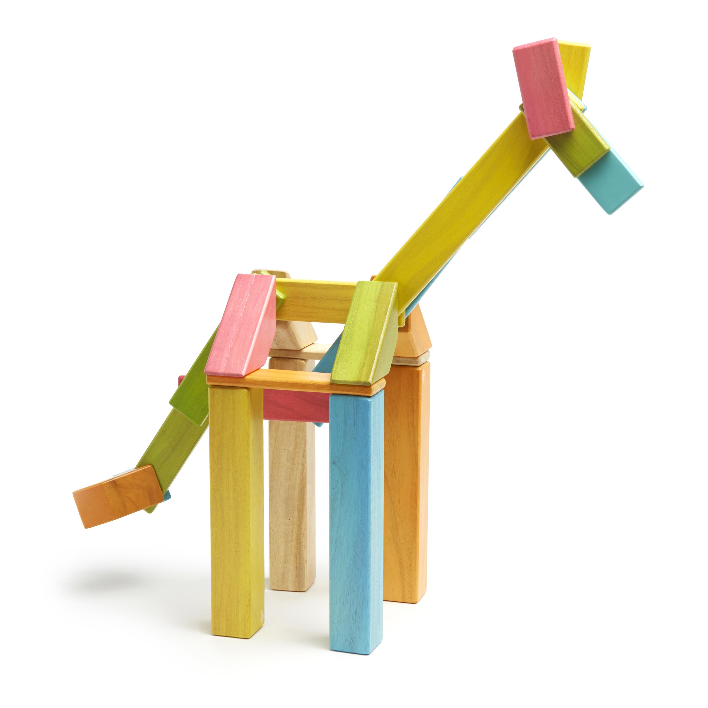 Magnetic Wooden Blocks / Tints