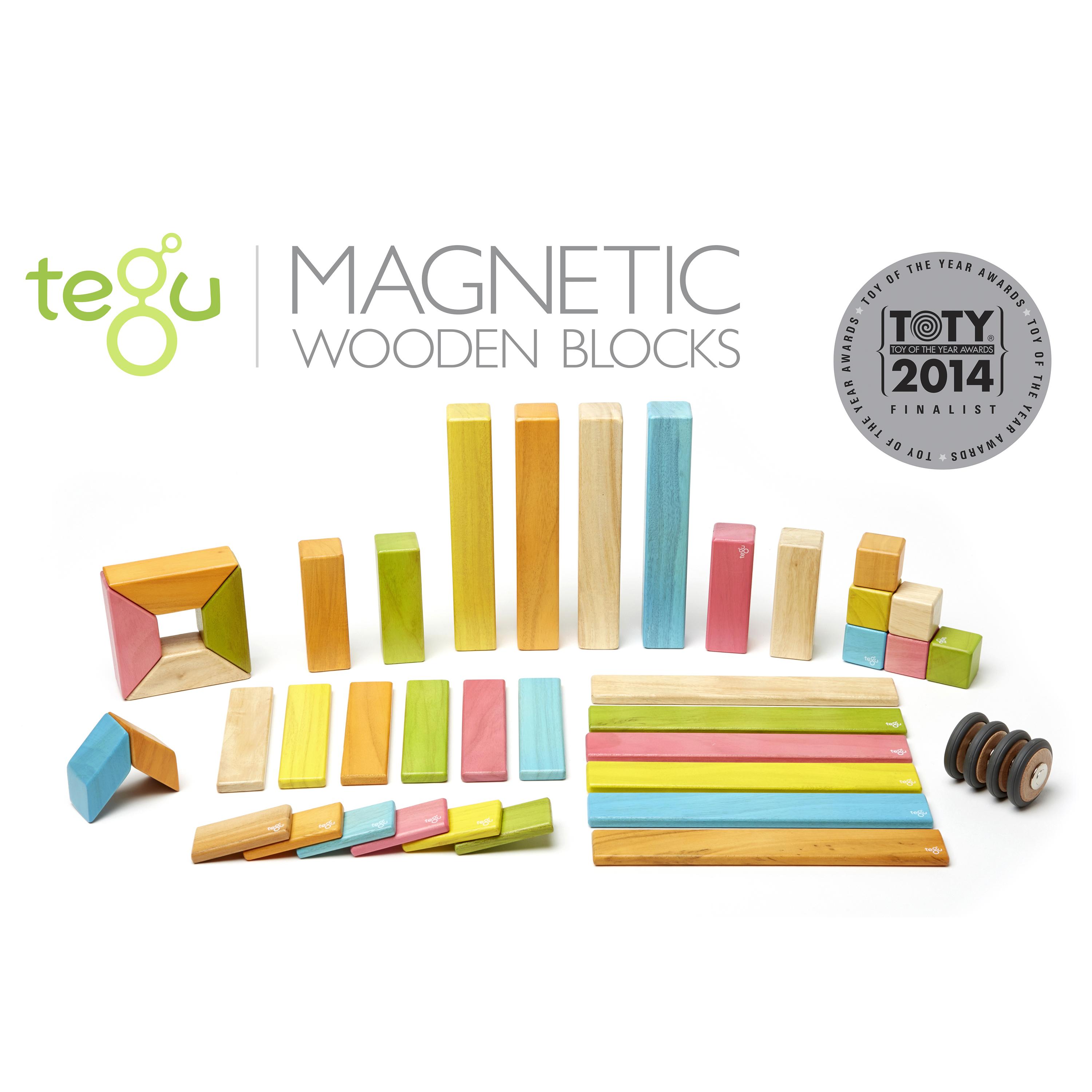 Magnetic Wooden Blocks / Tints