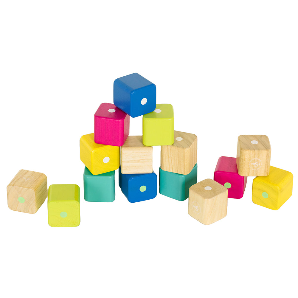 Tegu Magnetic Wooden Blocks retailer