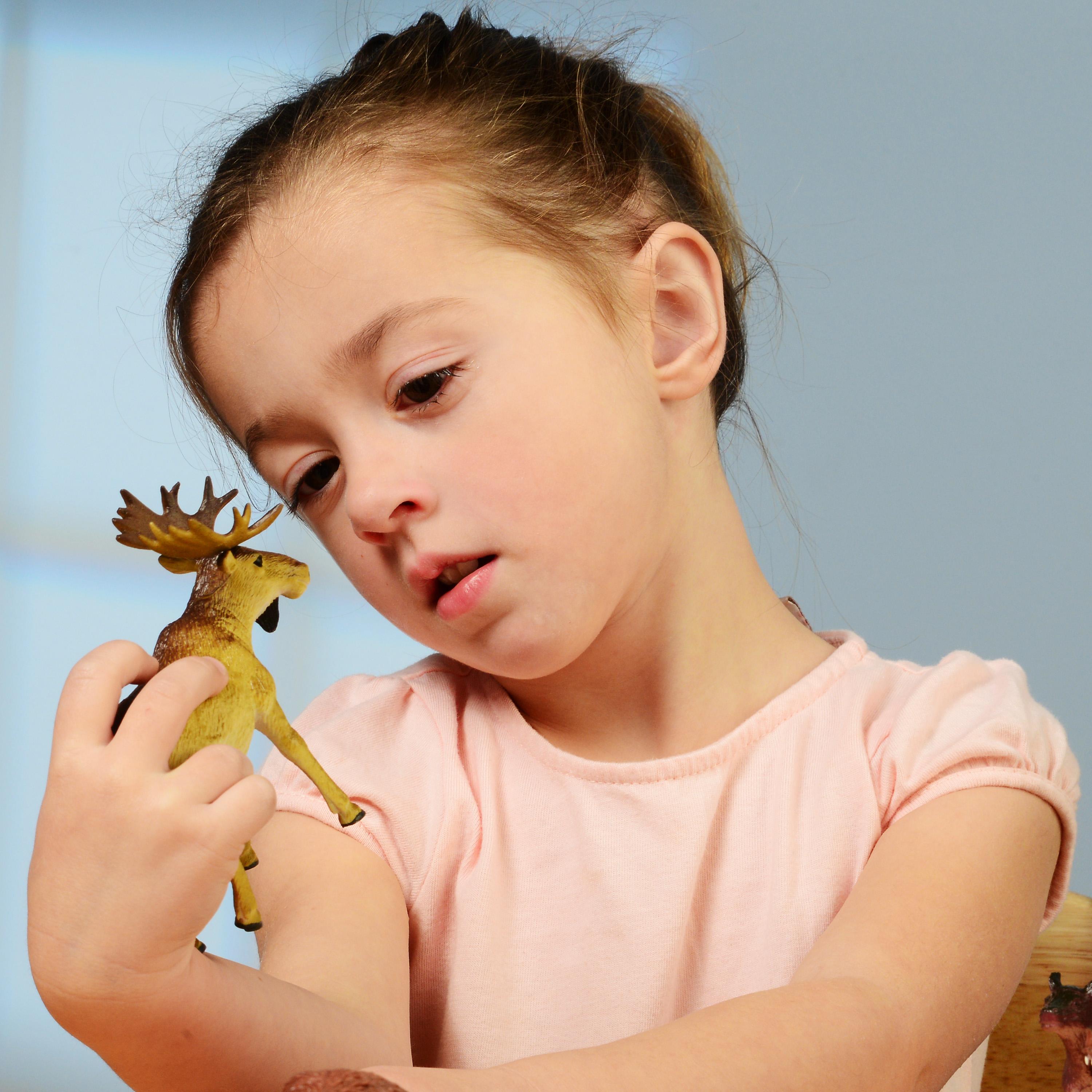 North American Forest Animals | 14 Piece Playset