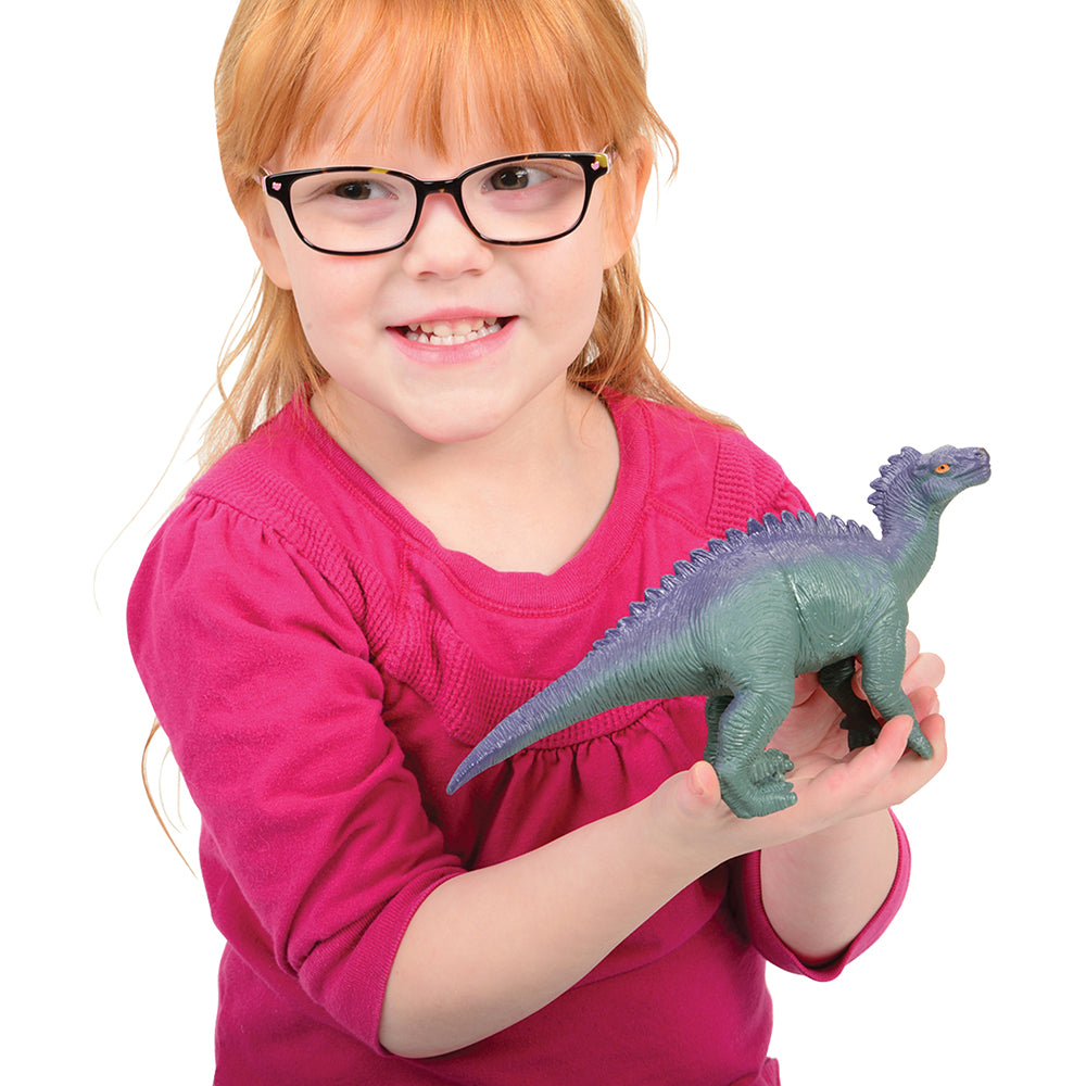 Museum Dinosaur Set