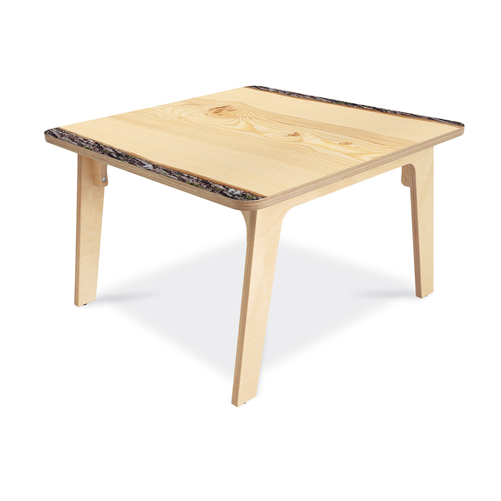 Nature View Live Edge Square Table 22H WB-0916DS