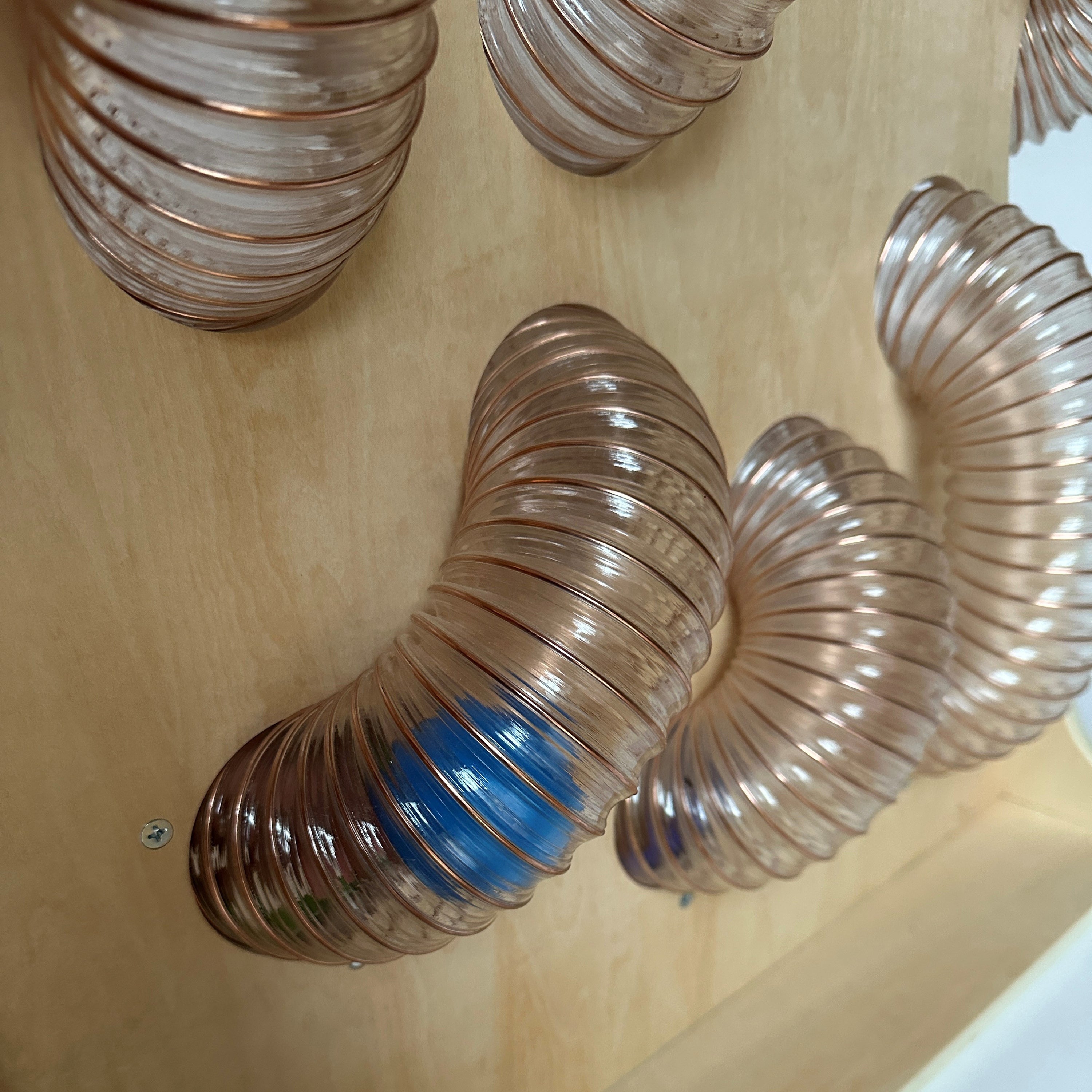 Coiled clear plastic duct on a wooden surface