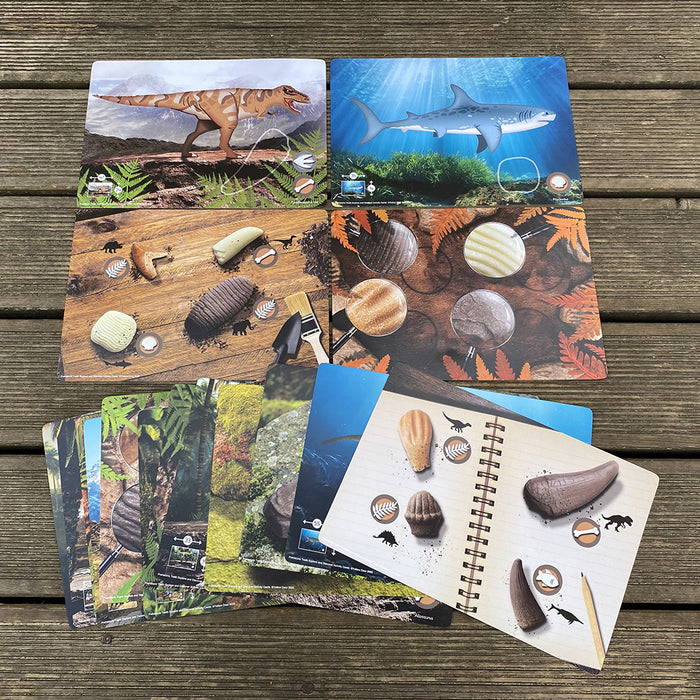 Prehistoric Teeth Explore & Discover Cards: Unveiling Ancient Mysteries ...
