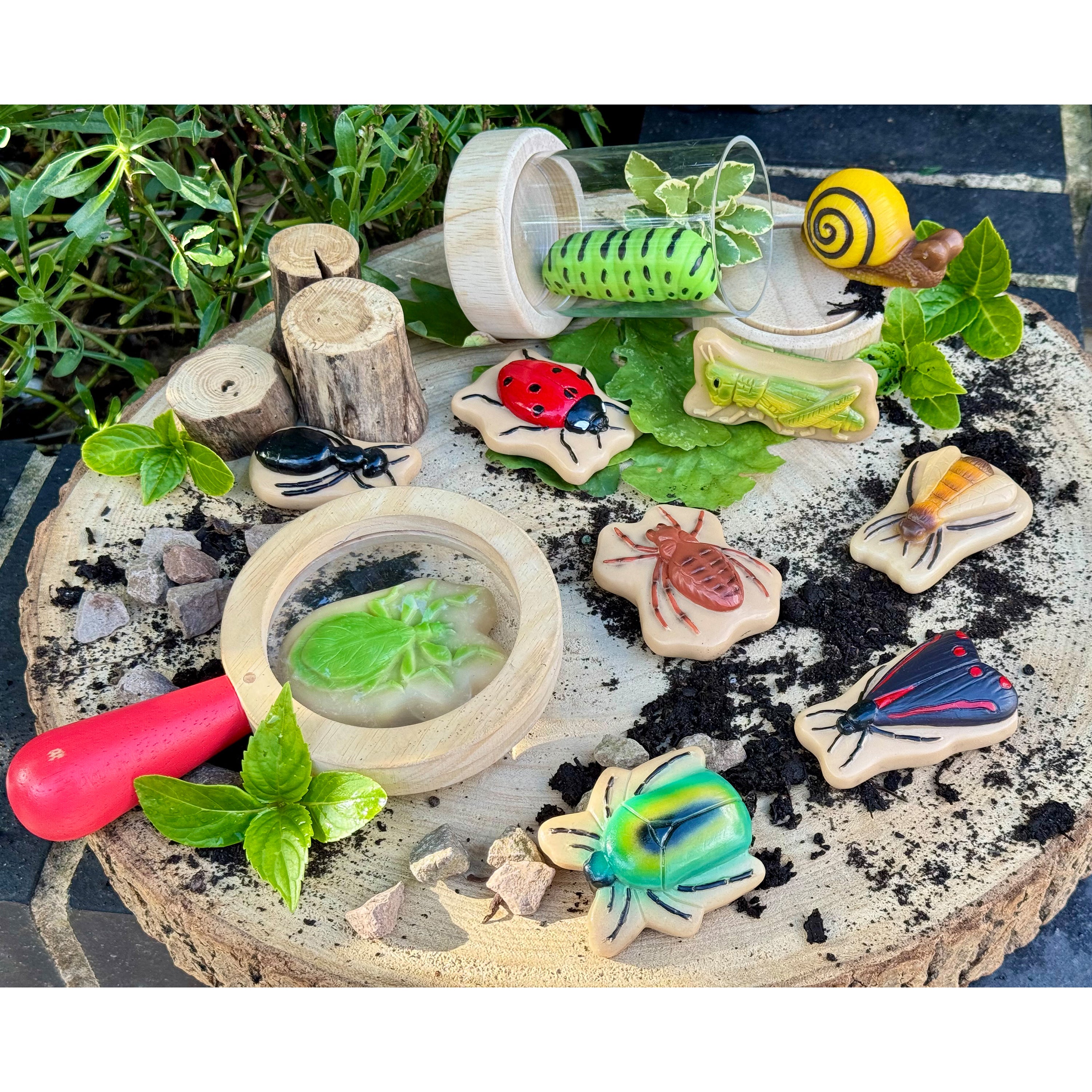 Stones shaped like insects and nature elements on a rustic wooden board.