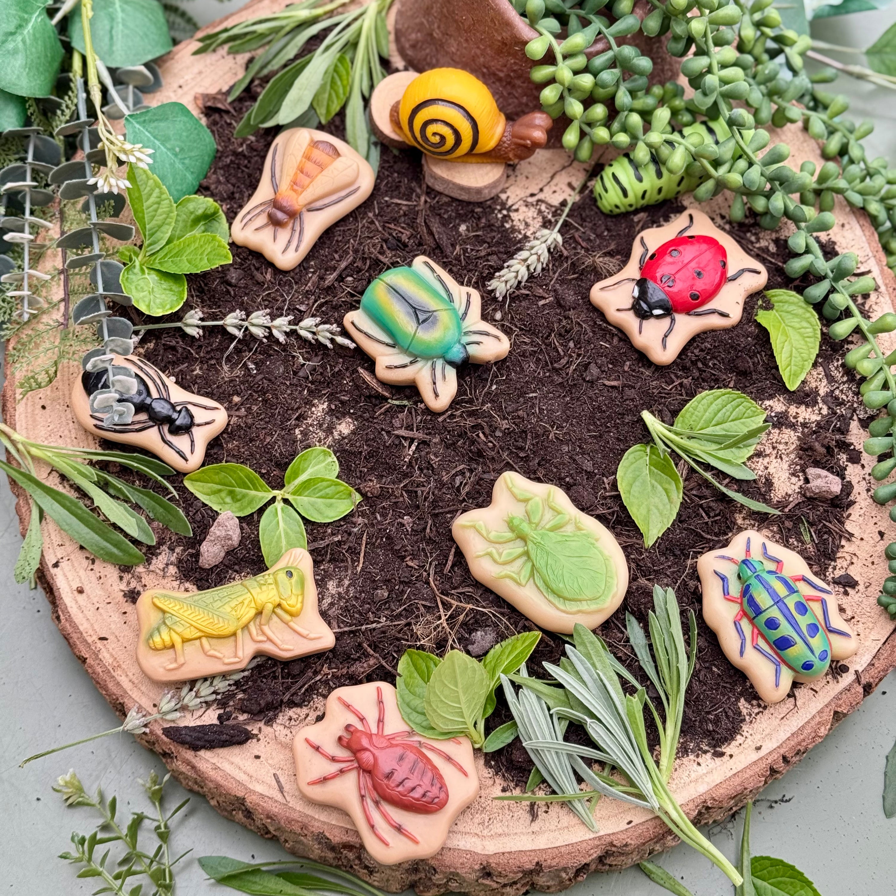 Decorative insect-shaped stones on a wooden board with soil and greenery.
