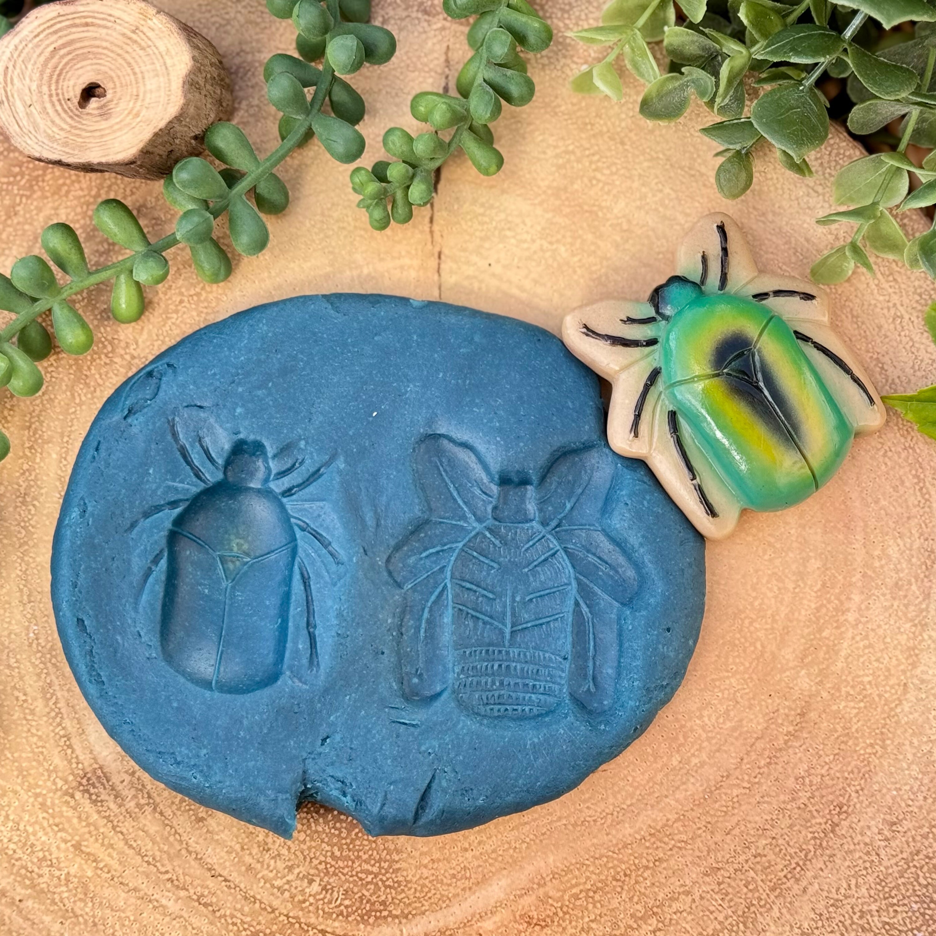 Blue mold with beetle design on a wooden surface with a decorative beetle.
