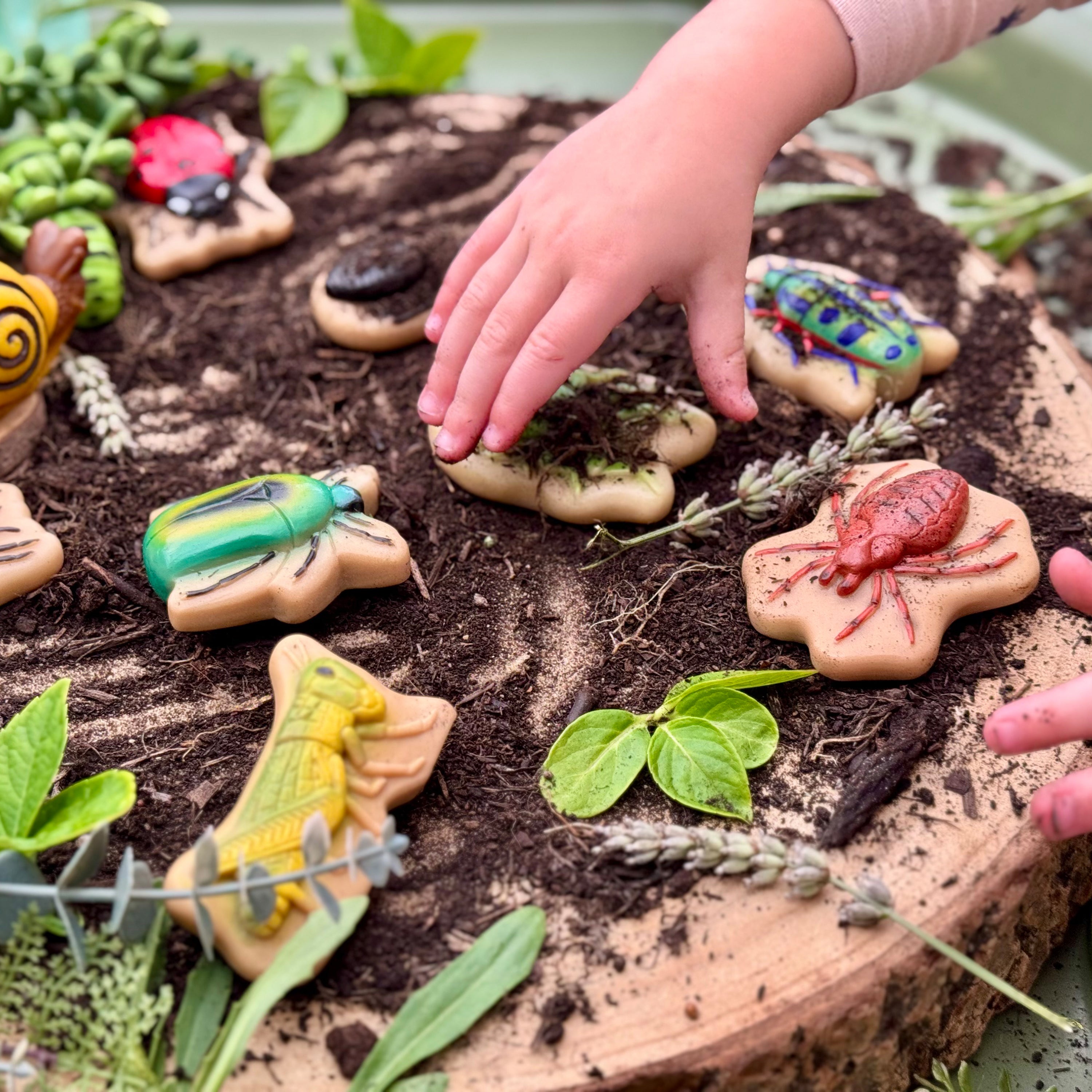 Children's hand reaching towards a stone shaped like a turtle among other animal-themed stones  on a wooden surface with soil and plants.