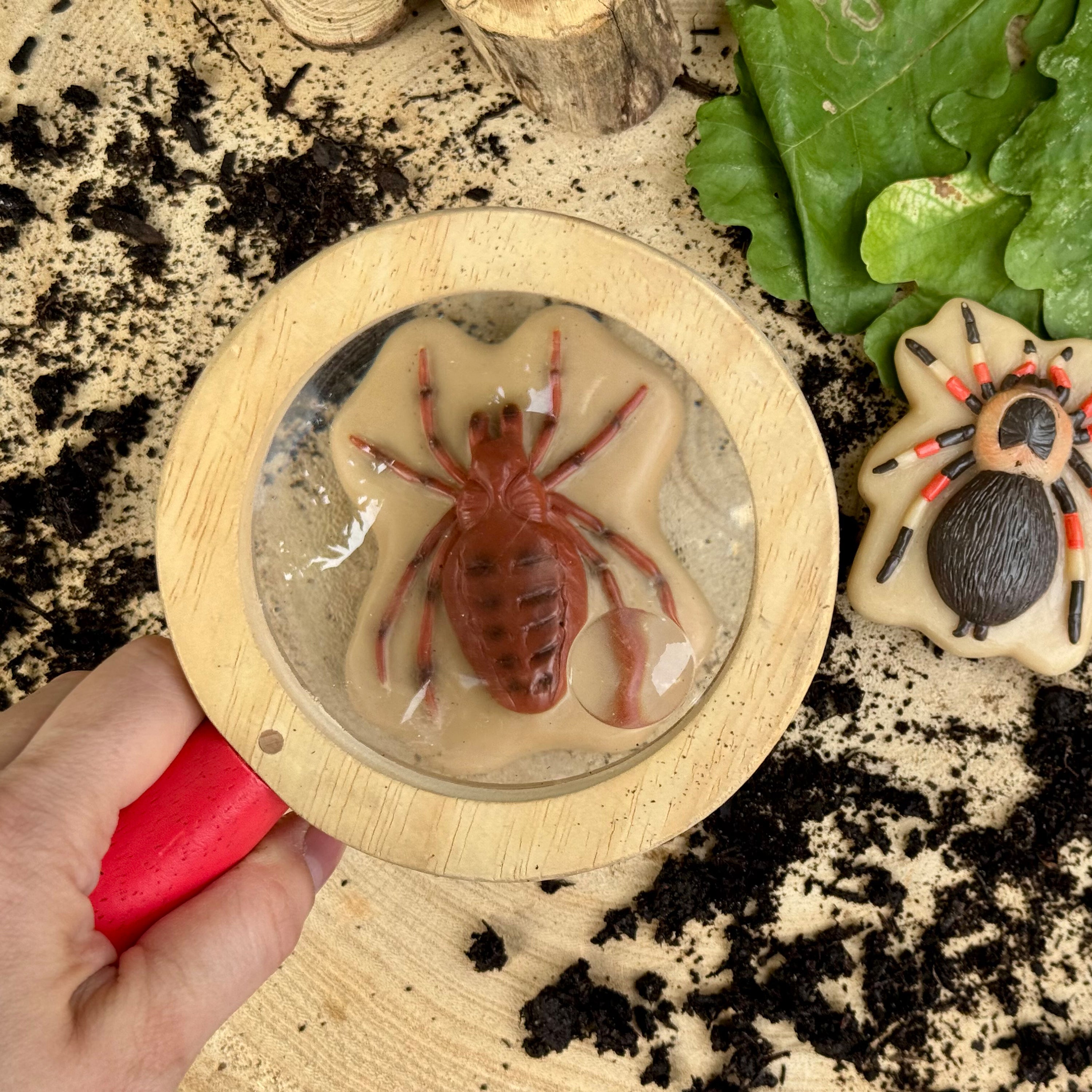 Hand holding a magnifying glass over a spider Embedded in a resin-like material, with a decorative spider figure in the background.