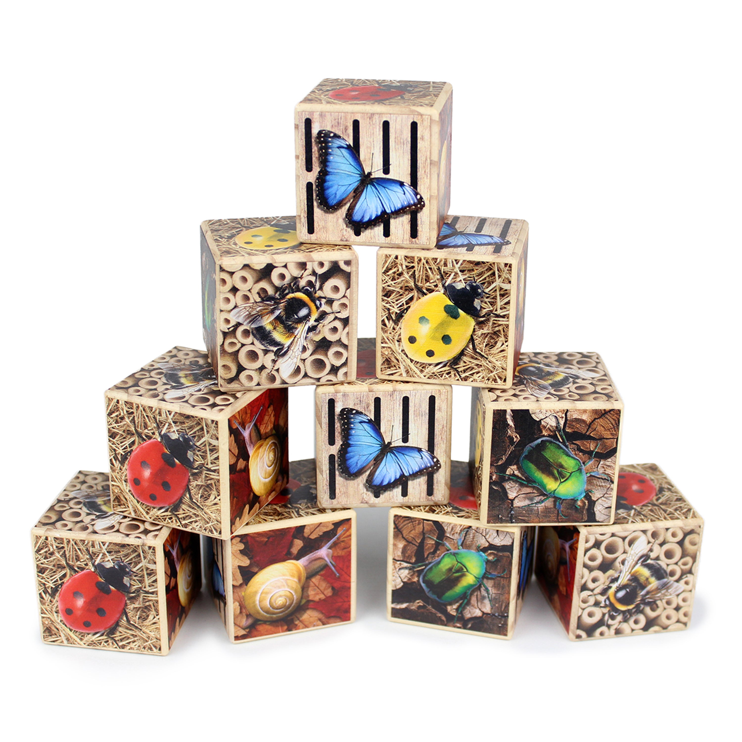Stack of wooden blocks with insect illustrations on a white background