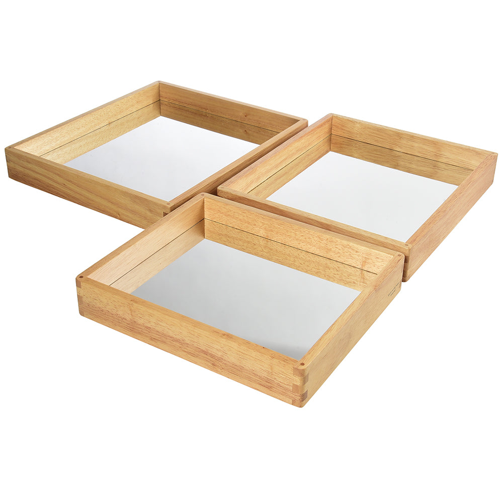 Reflective Observation Trays | Set of 3 Double-Sided Mirrored Wooden Trays for E KRP-333