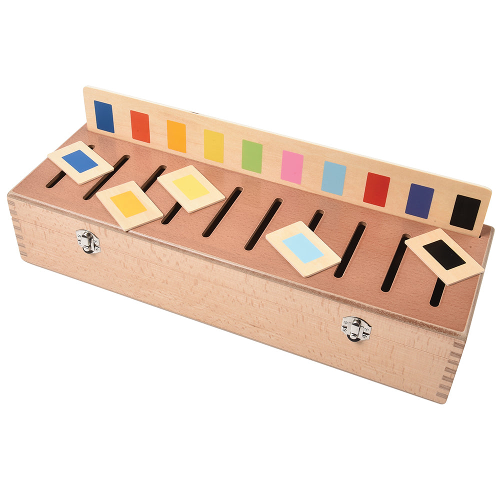 Sorting Box Combo For Color And Counting - Educational Toy
