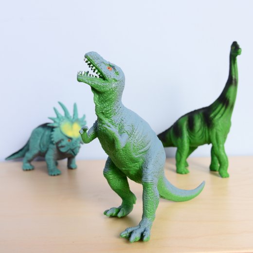 Museum Dinosaurs