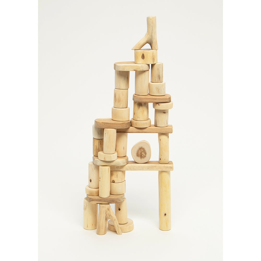 Eco-Friendly Tree Blocks Set | Hand-Cut Wood Pieces for Creative Play ...
