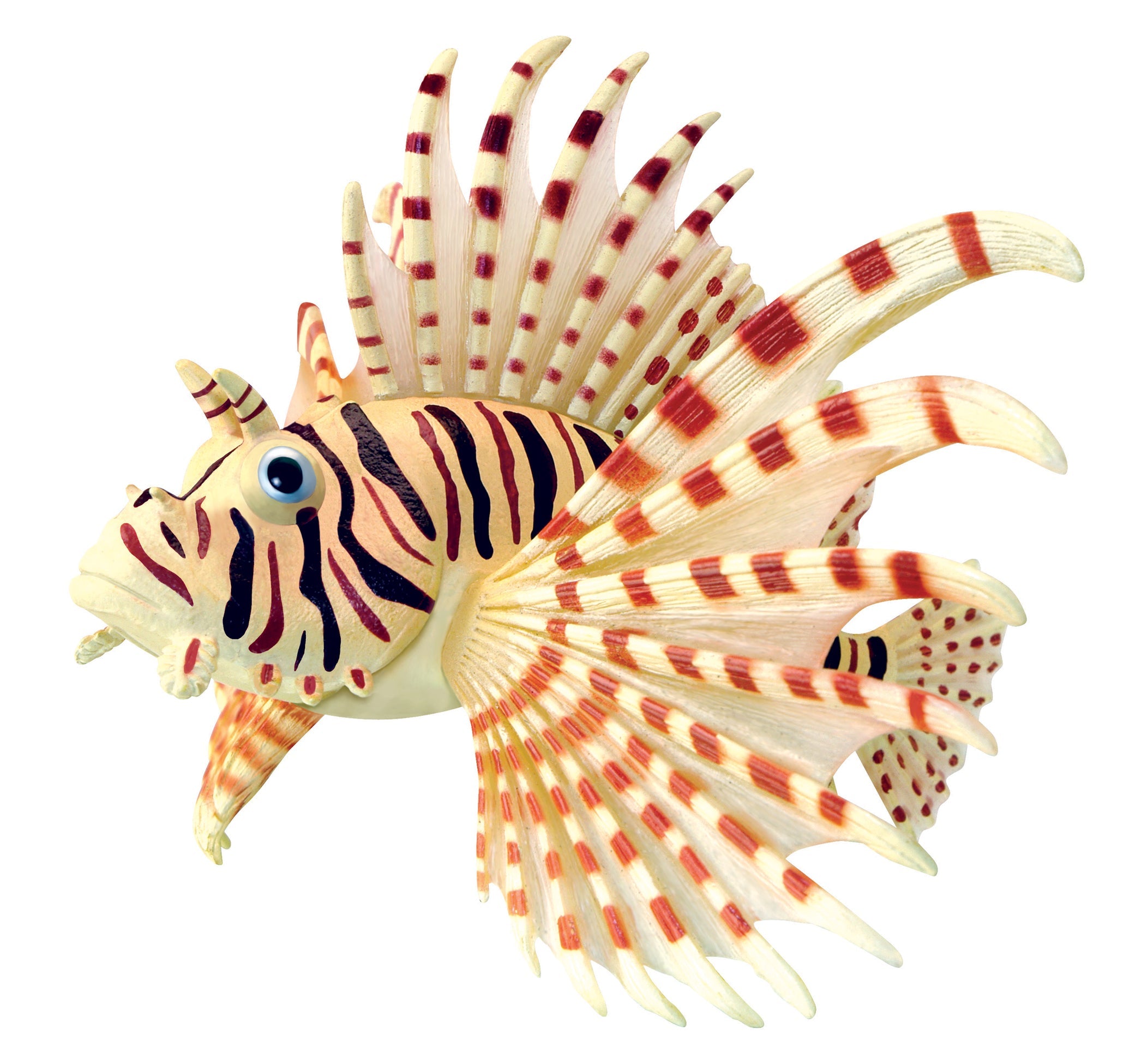 4D Puzzle - Lion Fish
