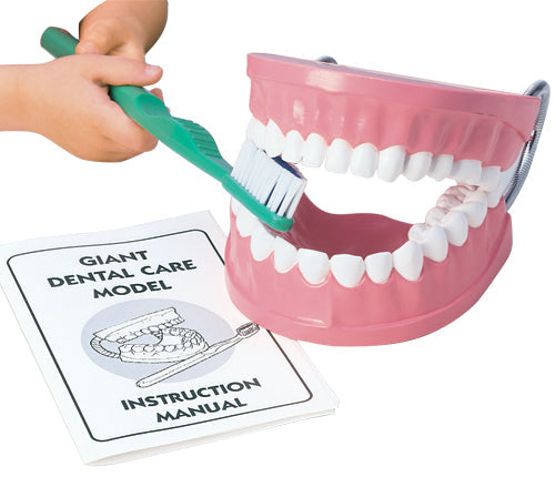 Giant Dental Care Model